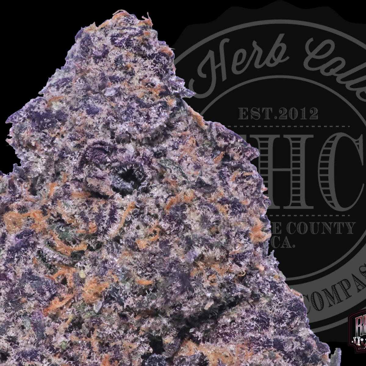Tropicanna Cherry Gas 31.8%