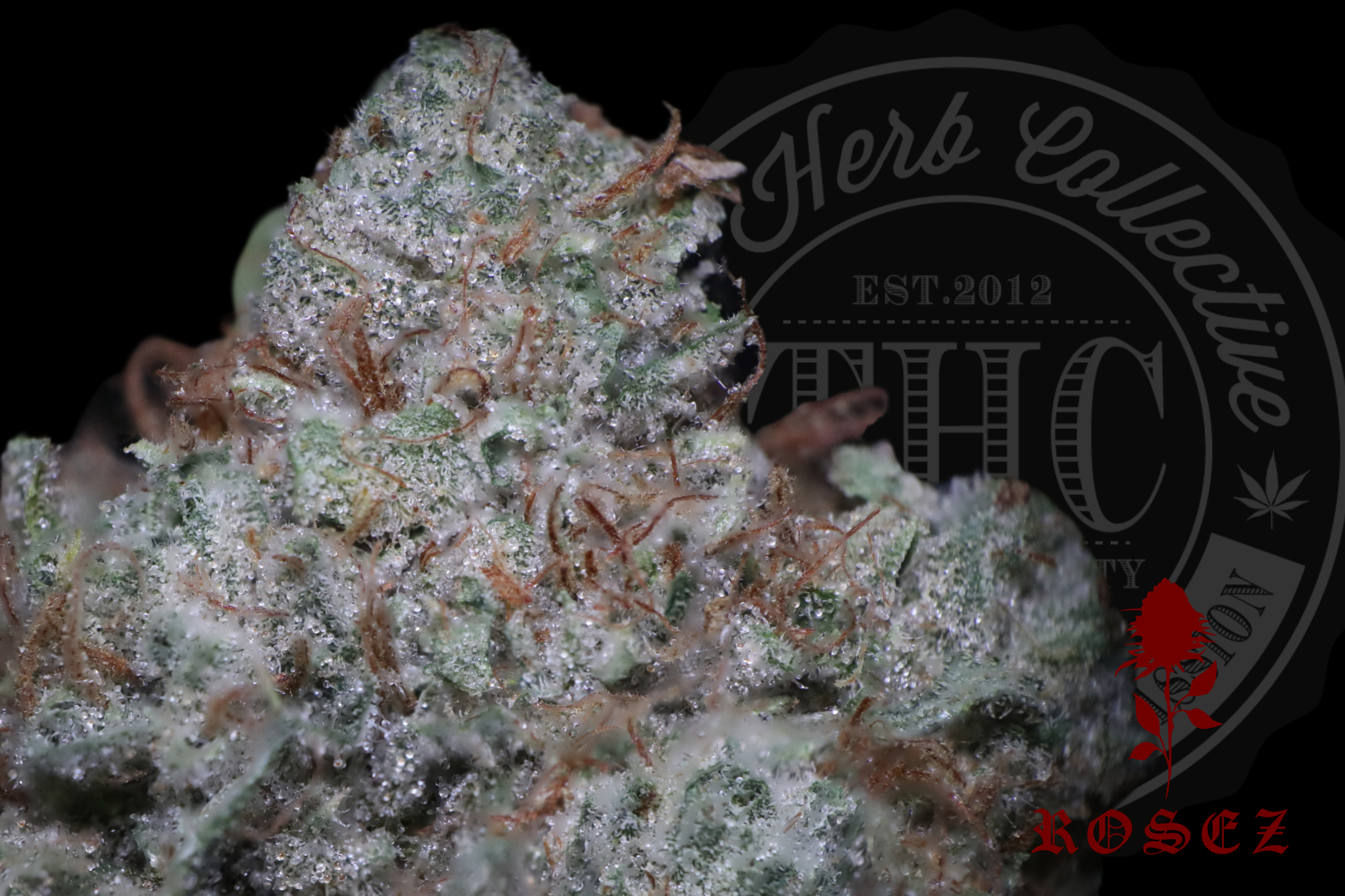 OG Wreck 27.2%