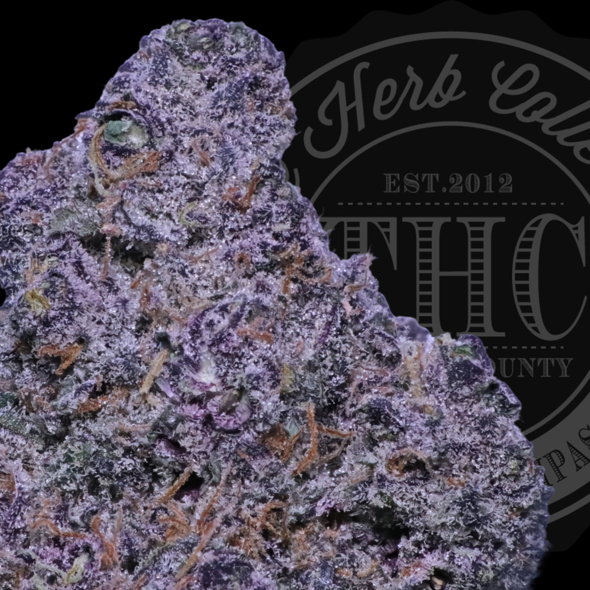 Glazed Lavender Mintz 34.3%