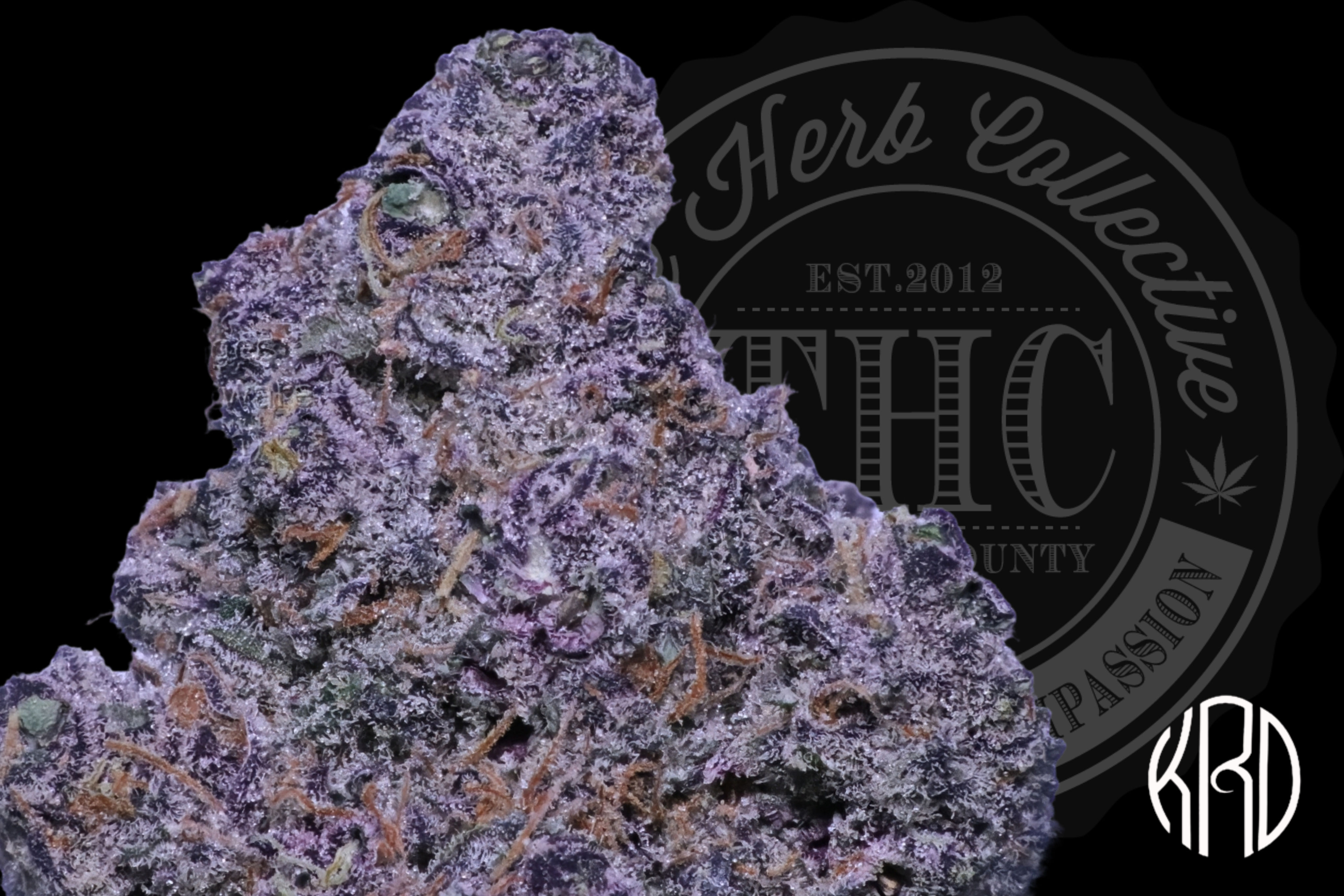 GLAZED LAVENDER MINTZ 34.3% | EXCLUSIVE CUT | KRD