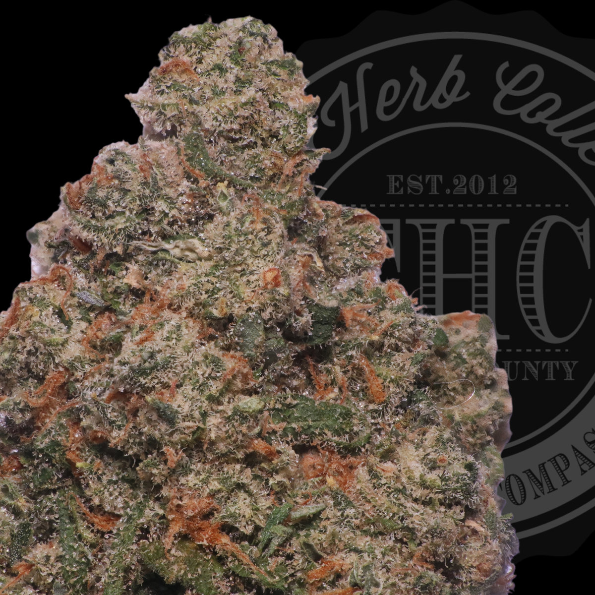 Cactus Jack 34.3%