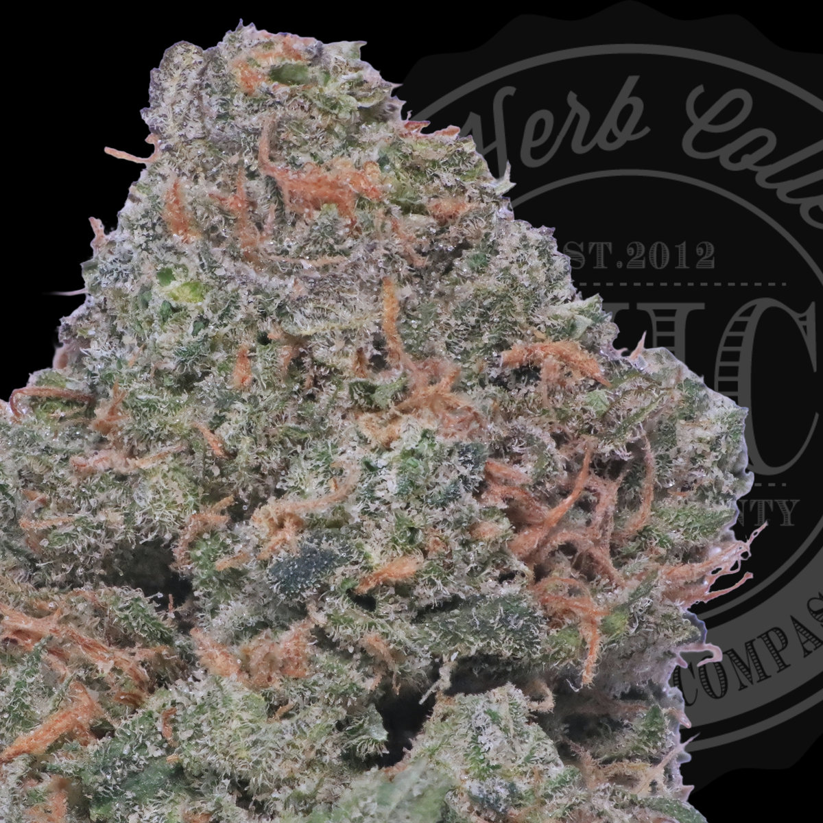 Blue Nebula 32.0%
