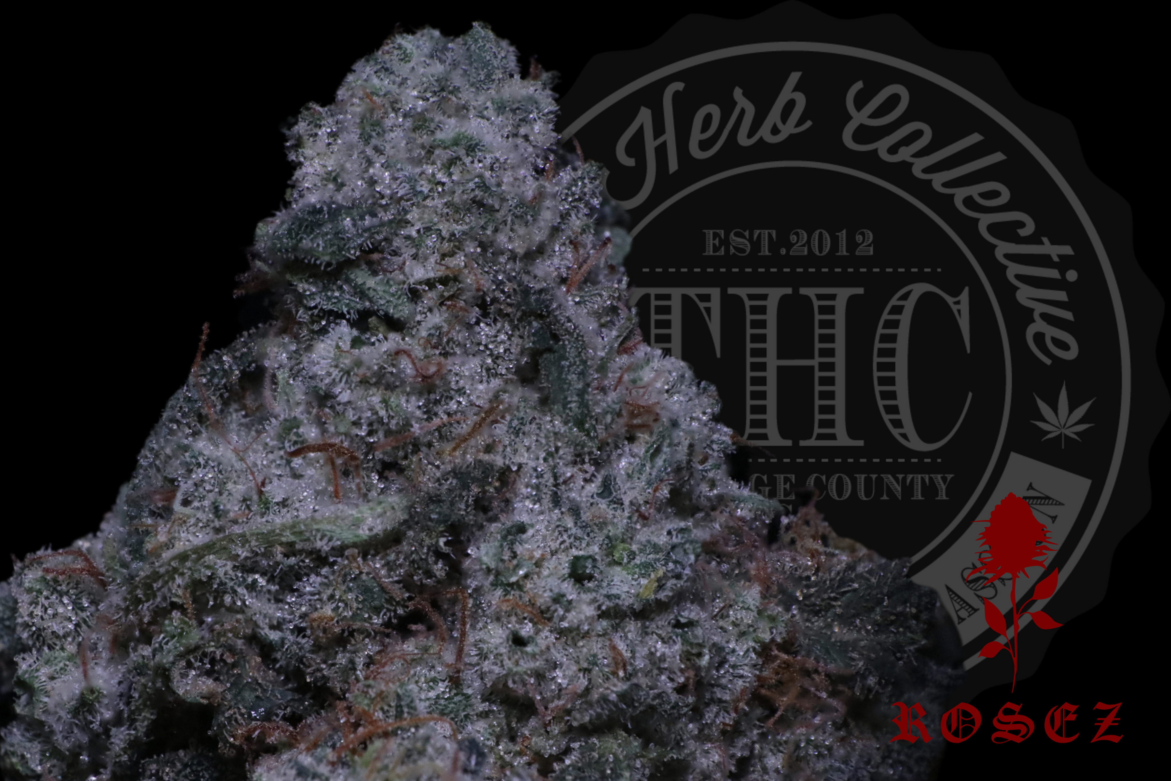 Jet Fuel Glue 26.8%