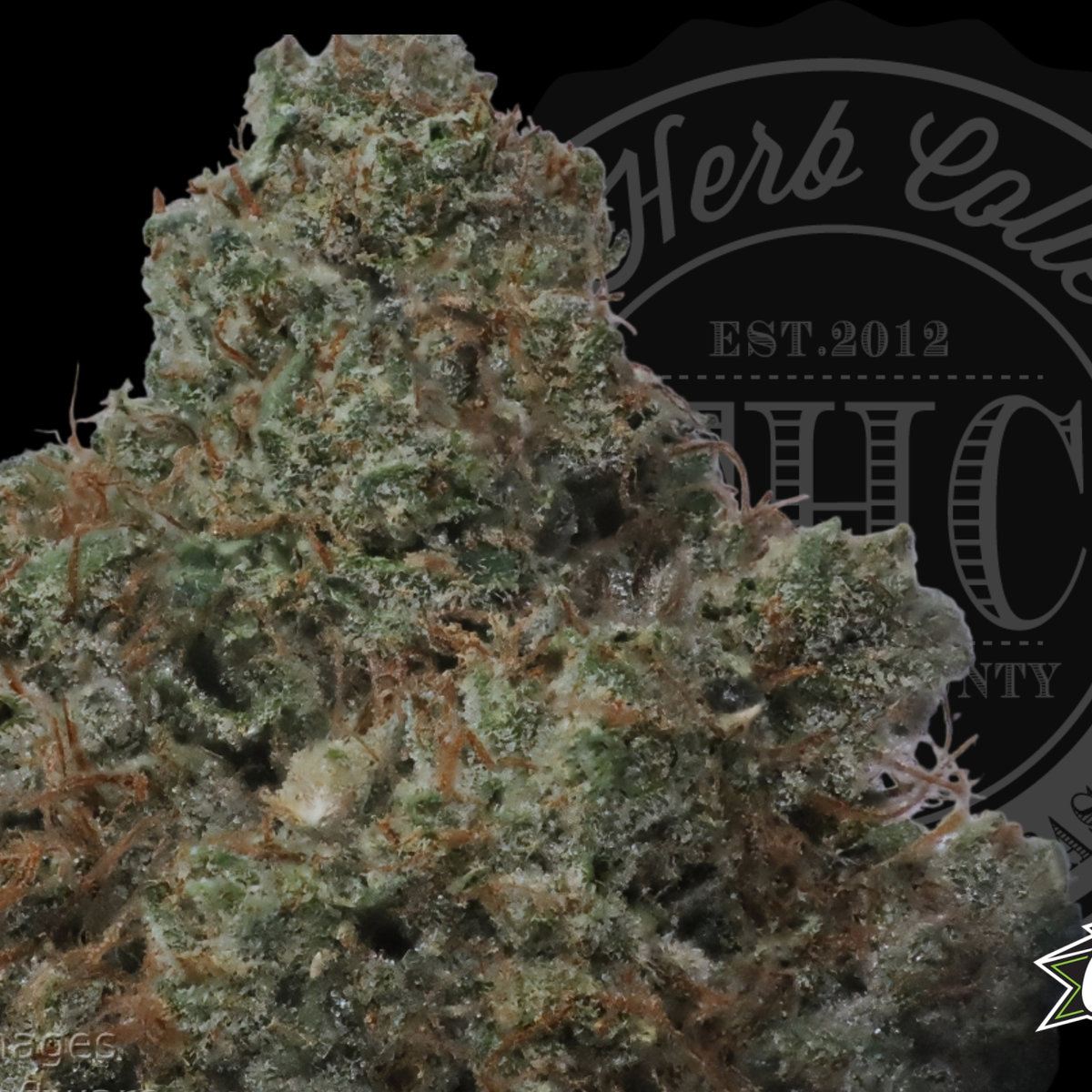 King Mamba OG 33.8%