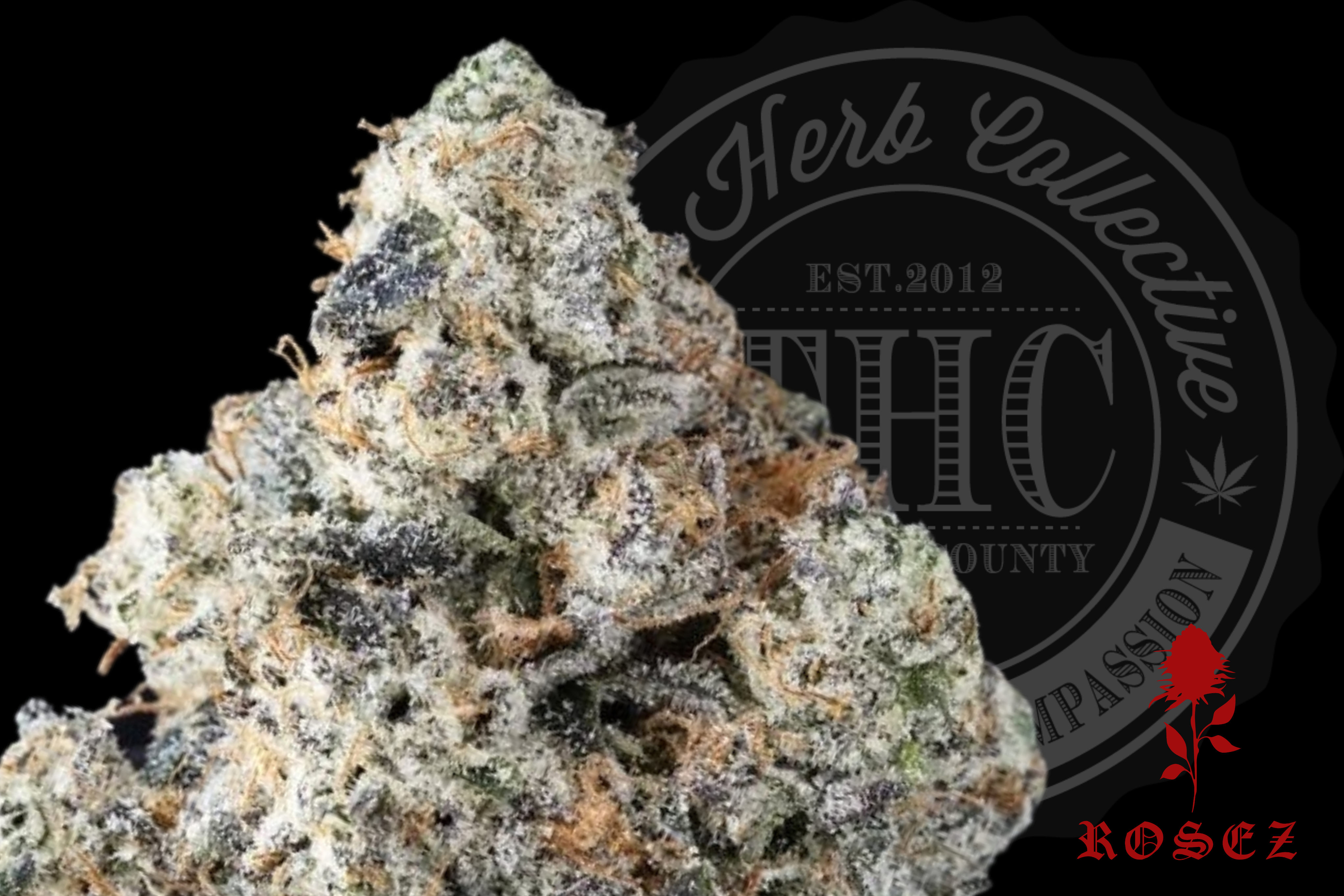 RECKLESS CHERRY BOMB 32.6% | EXCLUSIVE | ROSEZ CO.