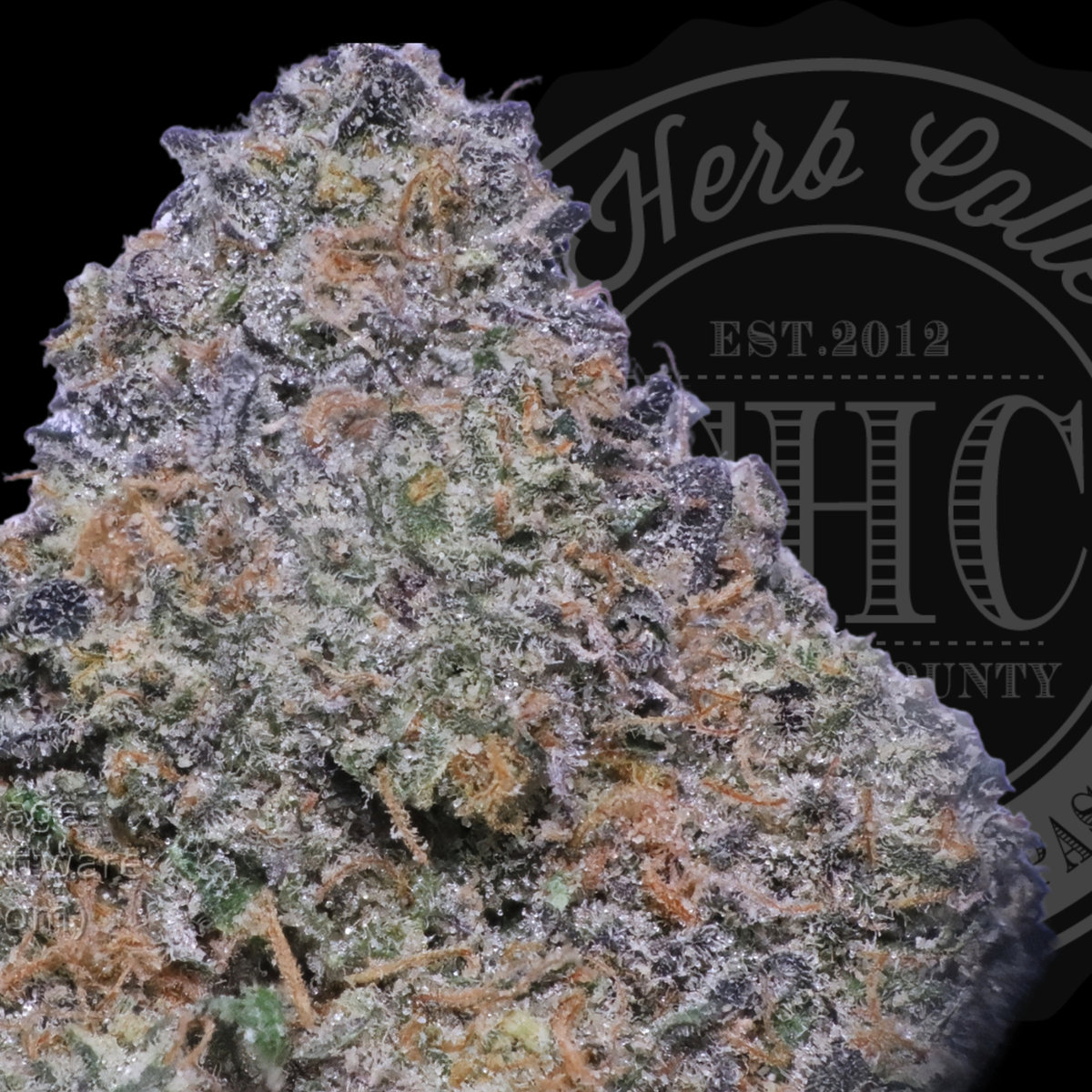 Cake Pop 34.2%