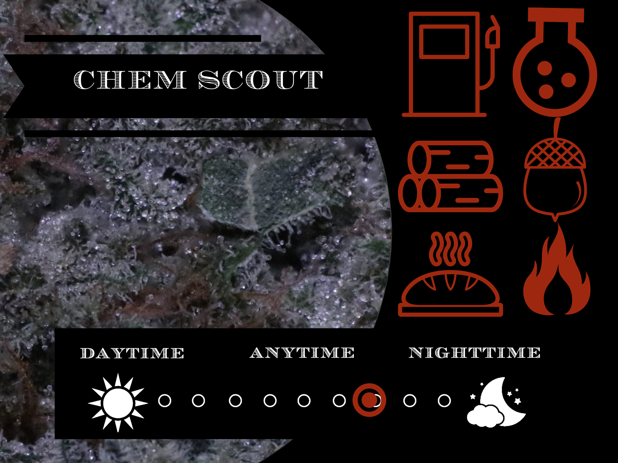 Chem Scout 27.4% view 2