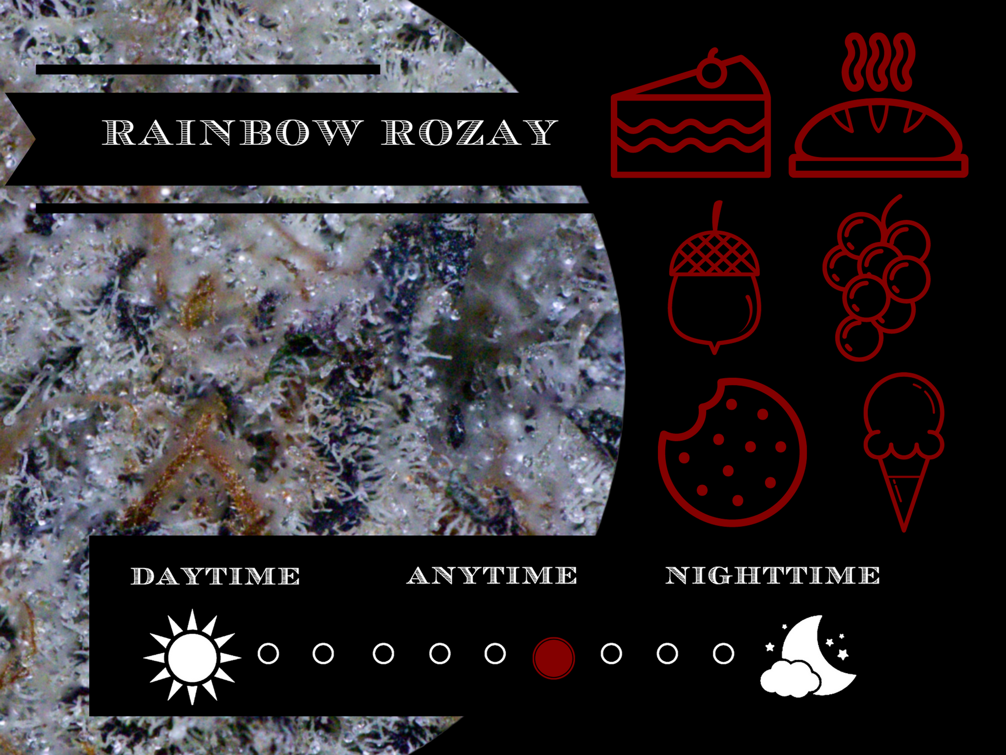 Rainbow Rosay 28.8% view 2