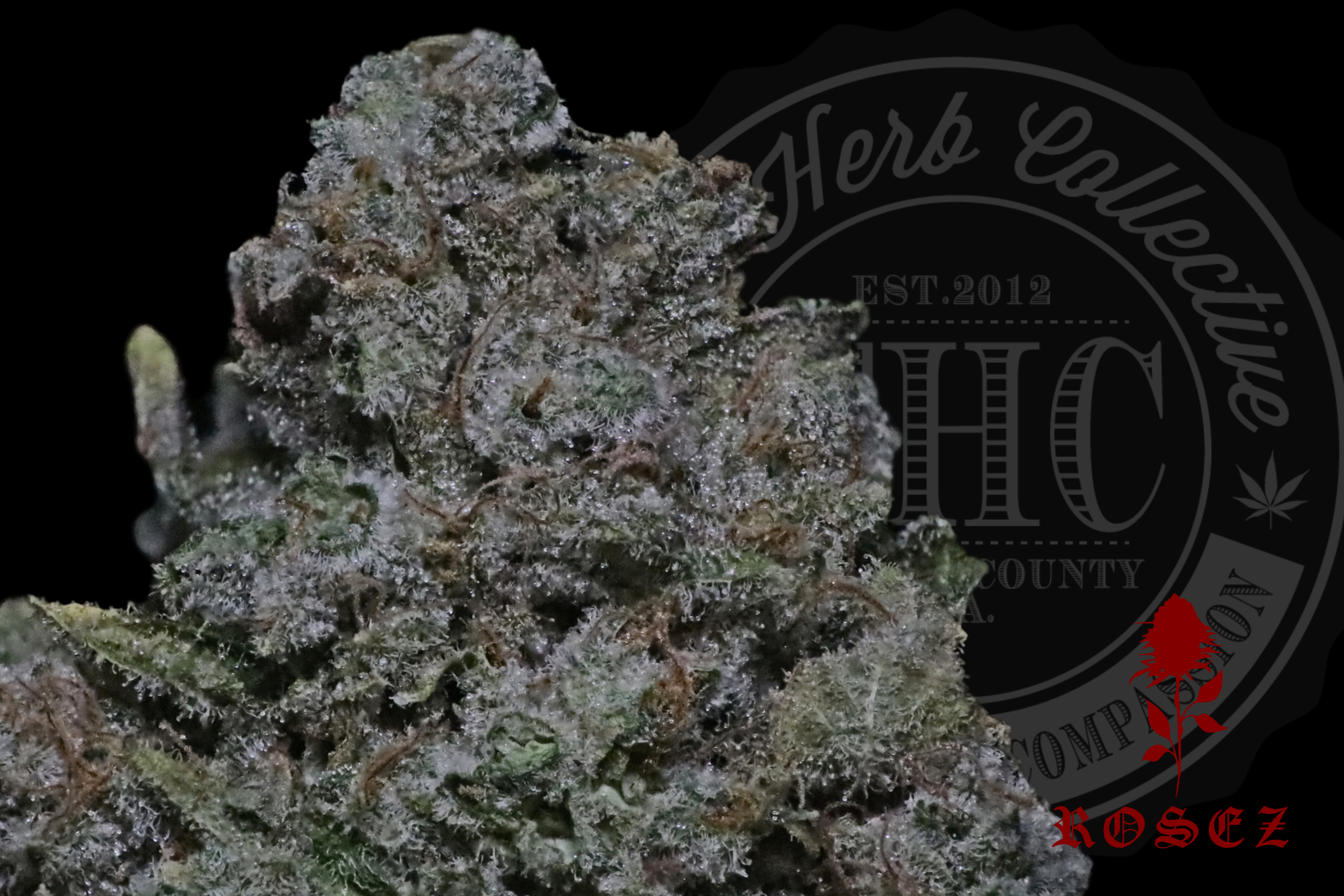White Fire Kush Mints 26.4%