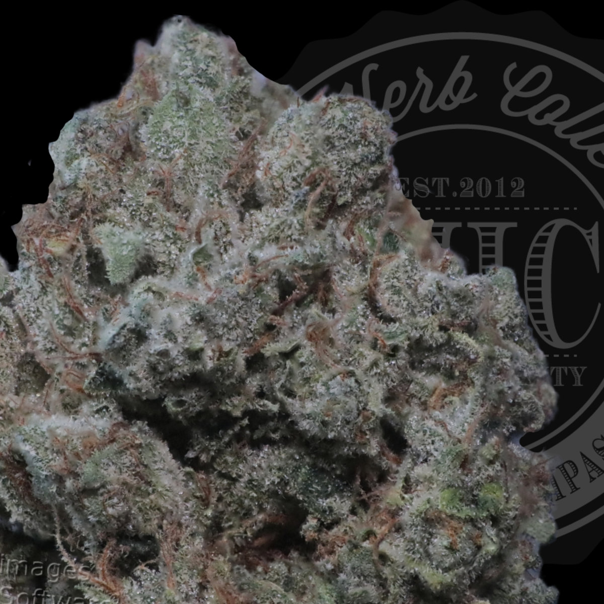 Dr. Greenthumb's OG 32.3%