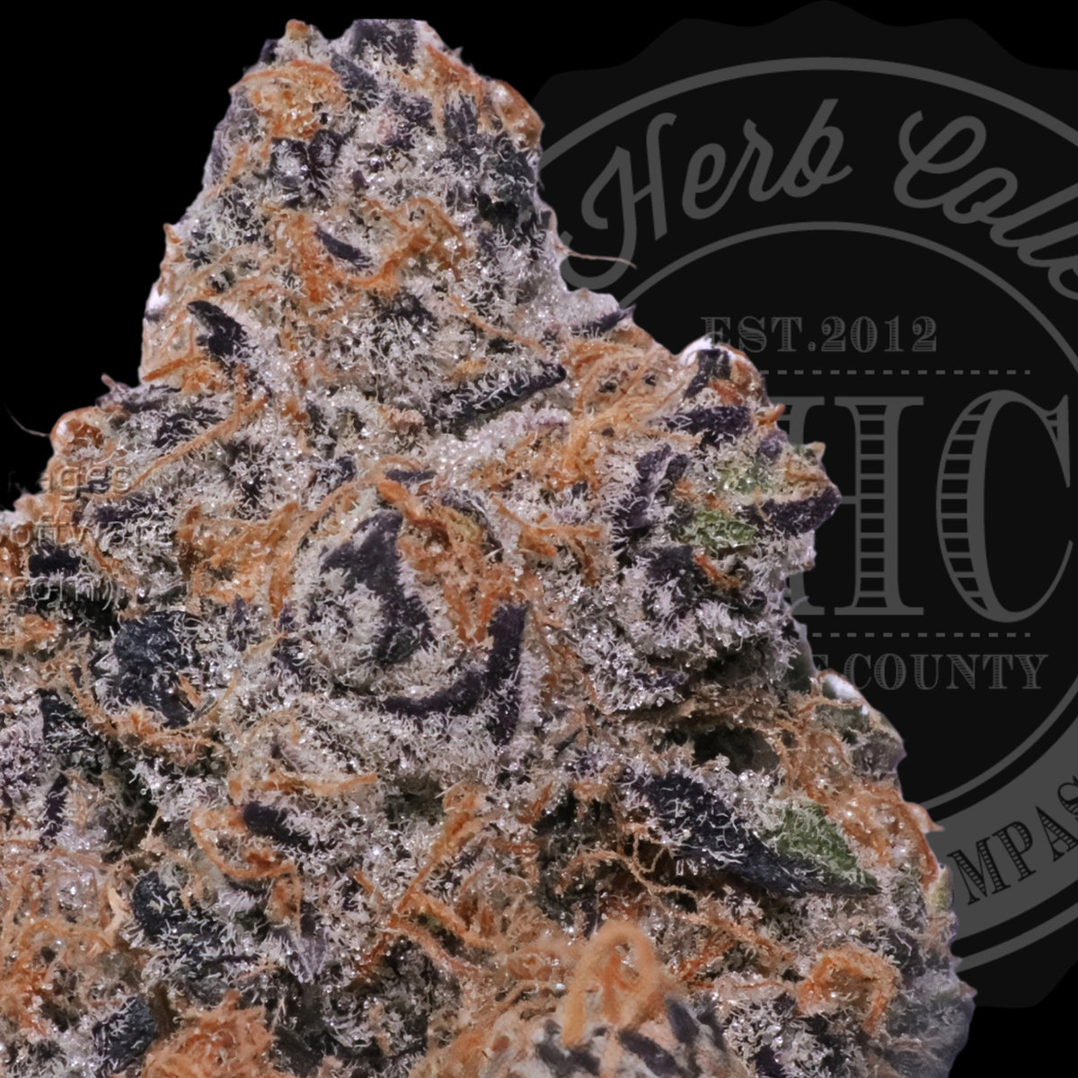 Glitter Fritter 32.3%