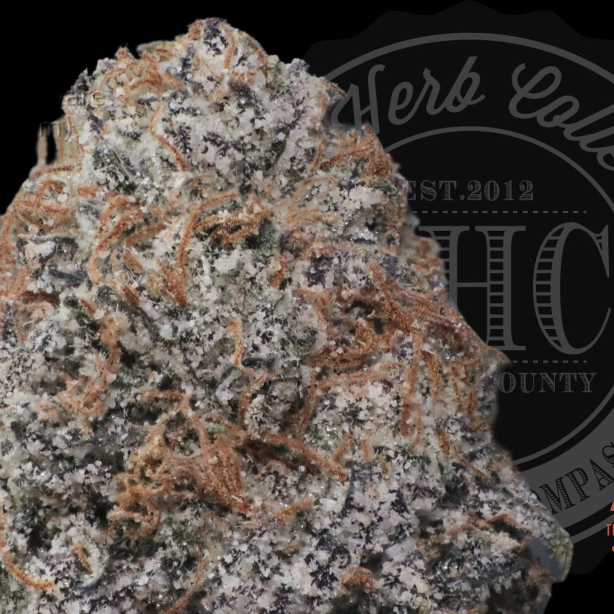 Lemon Cherry Gelato 36.2%