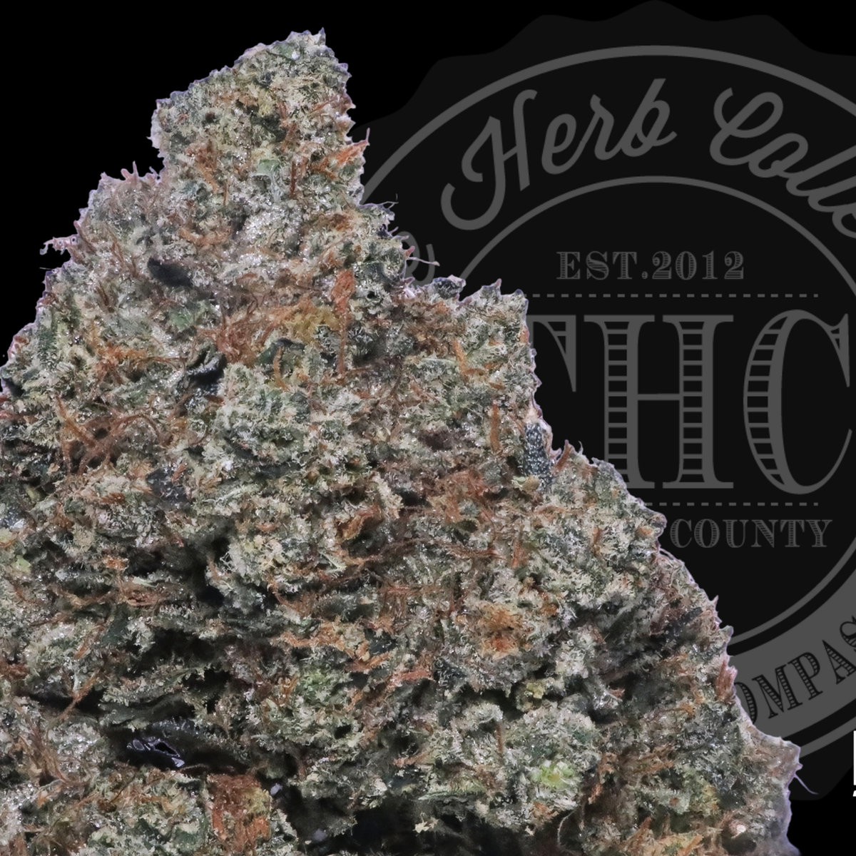 Lobster OG 33.6%