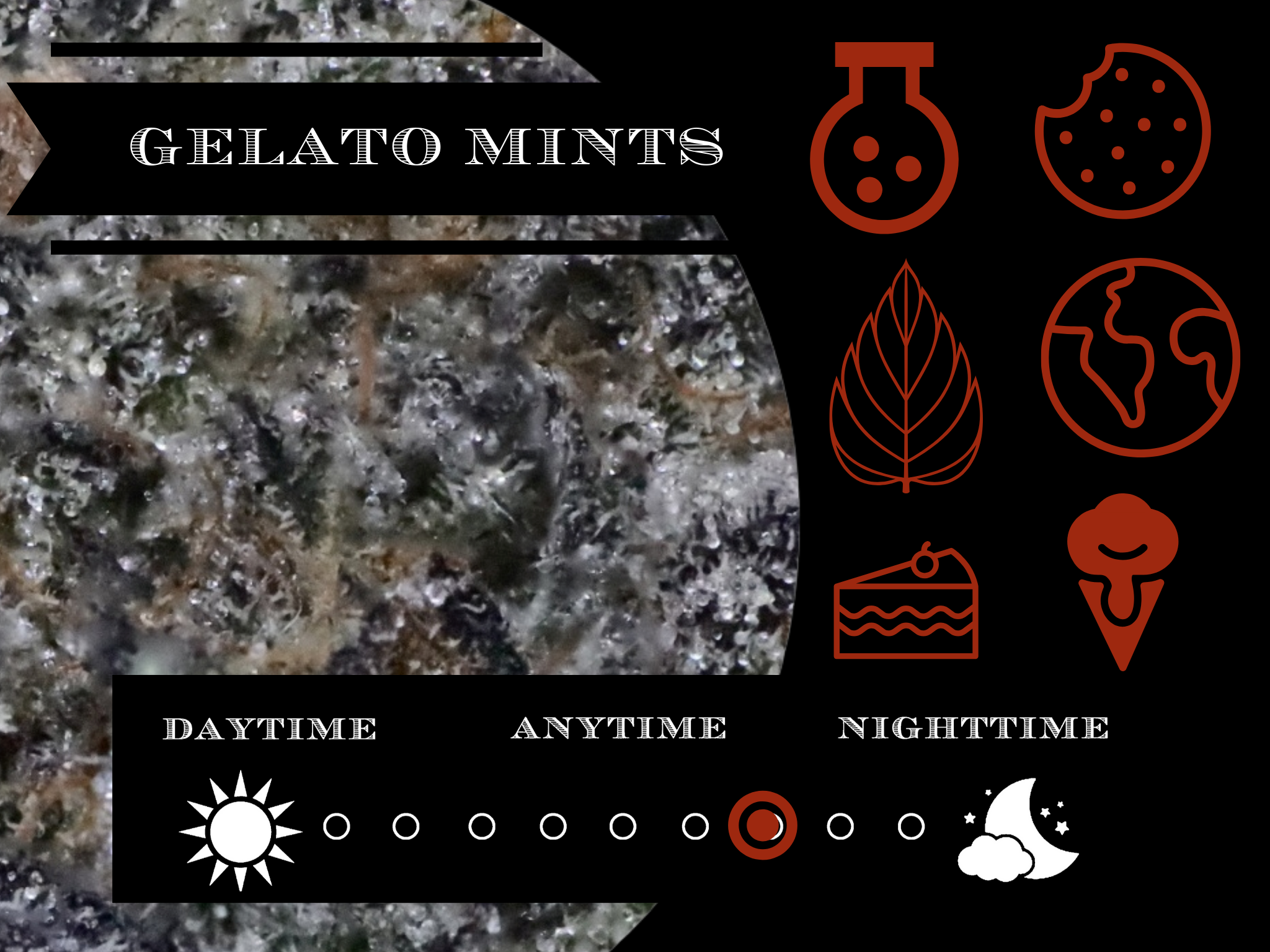 Gelato Mints 27.2%