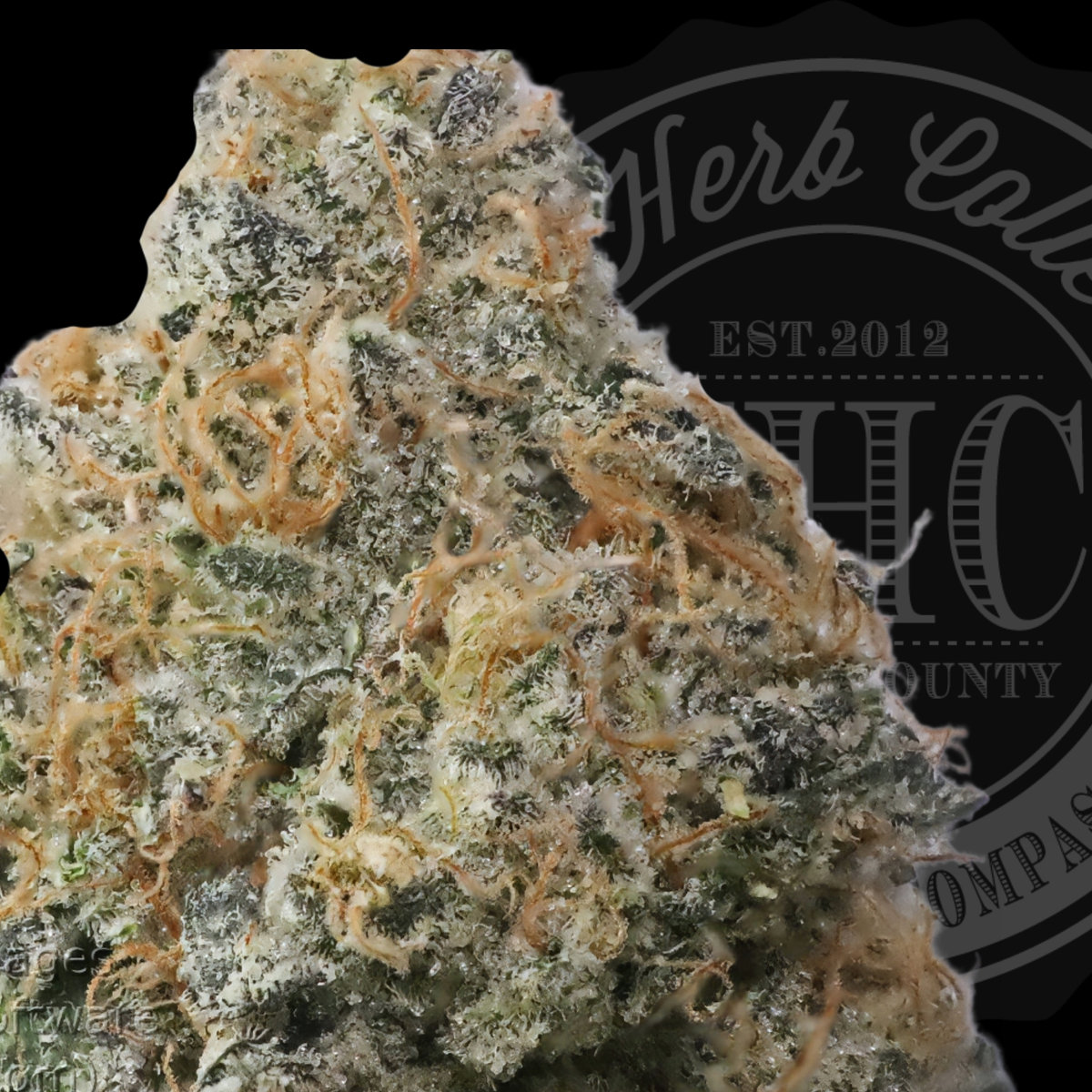 Oz Kush Cake 35.2 %