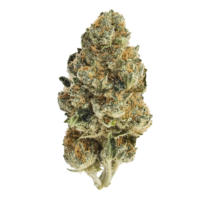 Garlic Cocktail #7 26.09% — 3.5 Grams