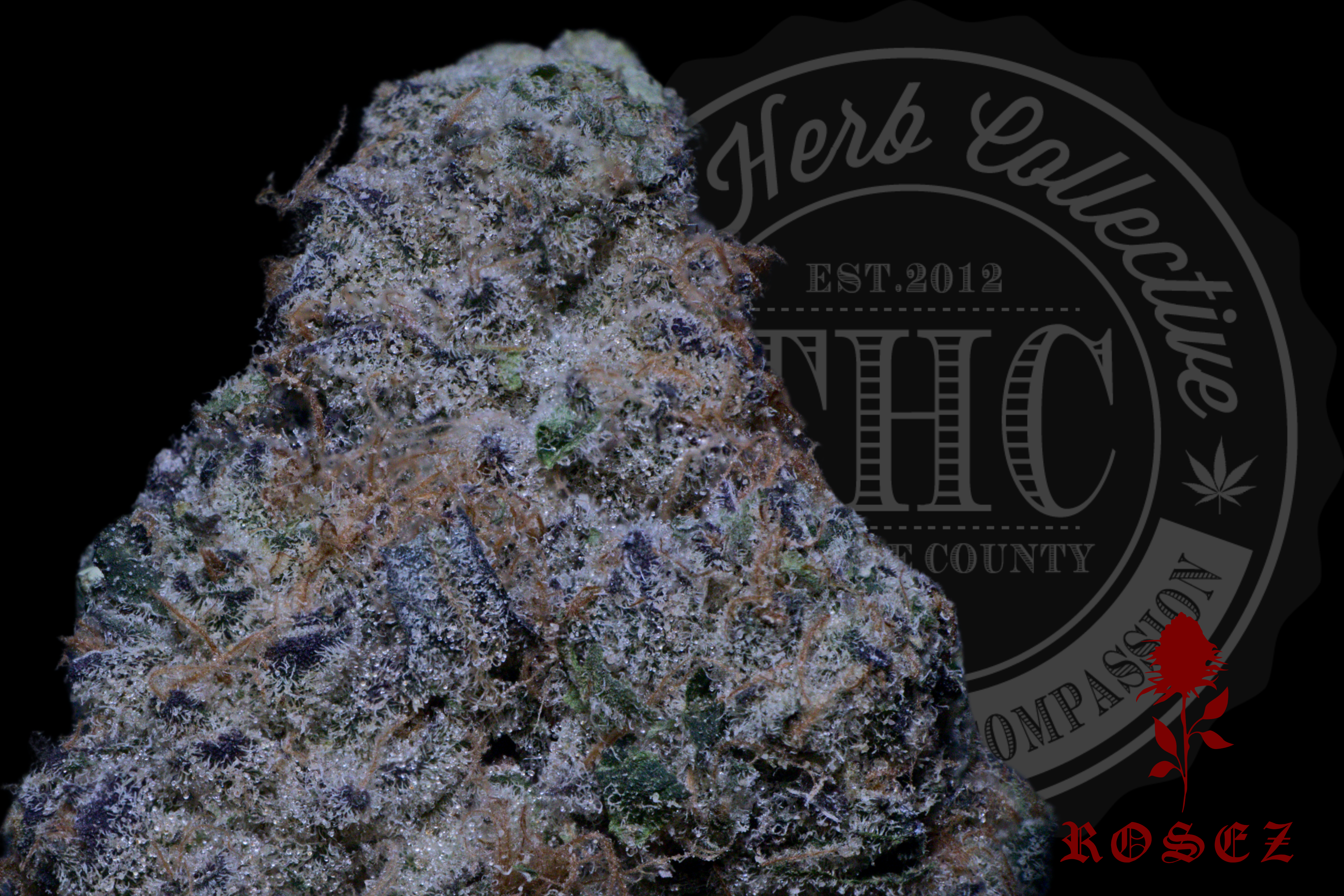 Forbidden Fruit 27.6%