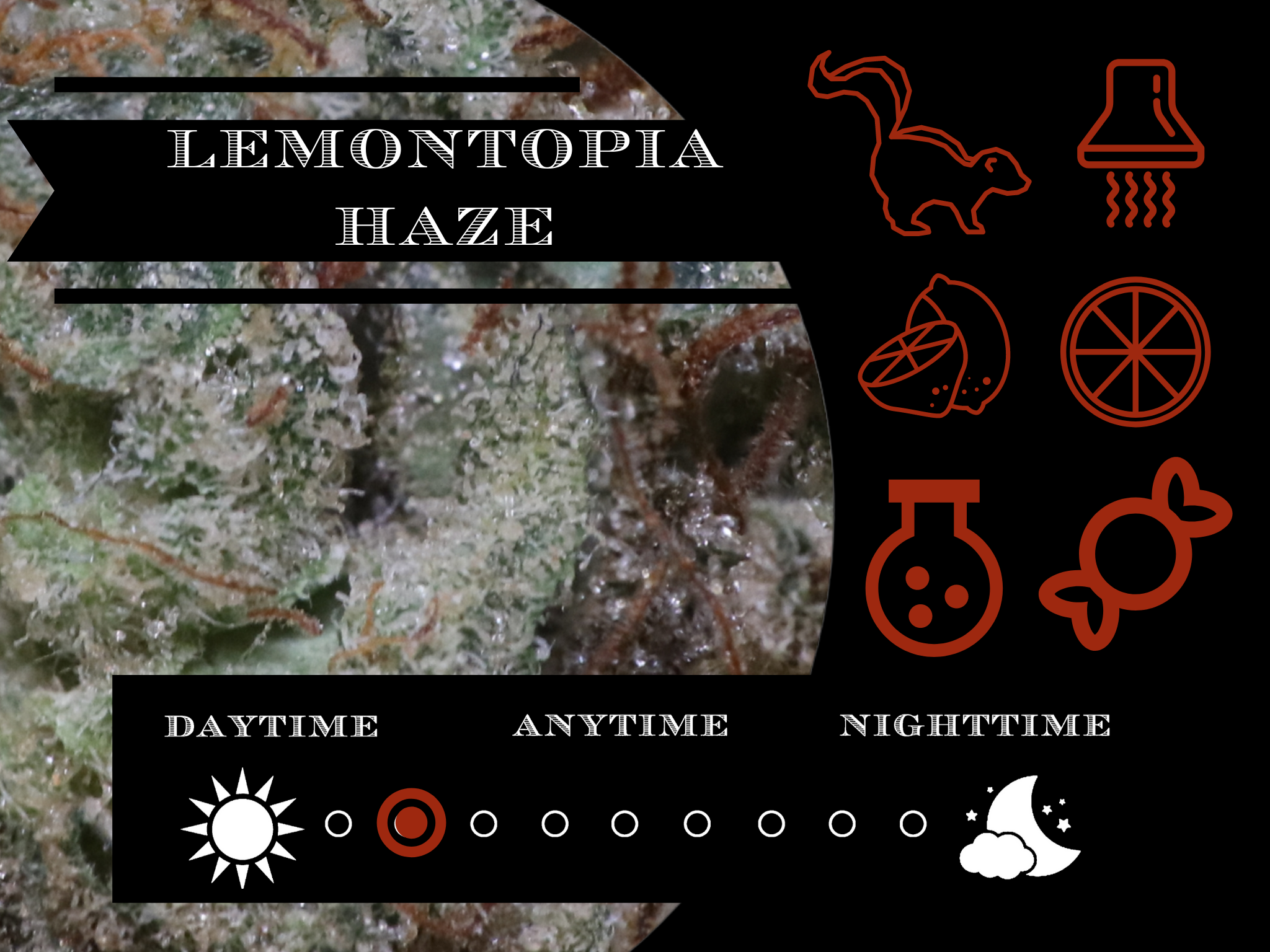 Lemontopia Haze 27.8 % view 2