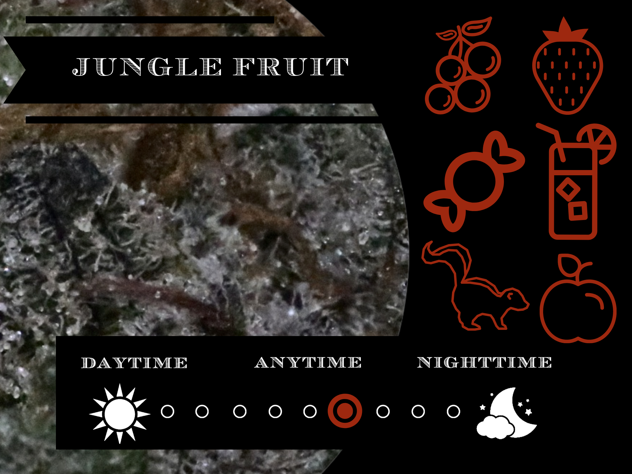 Jungle Fruit 26.4% view 2