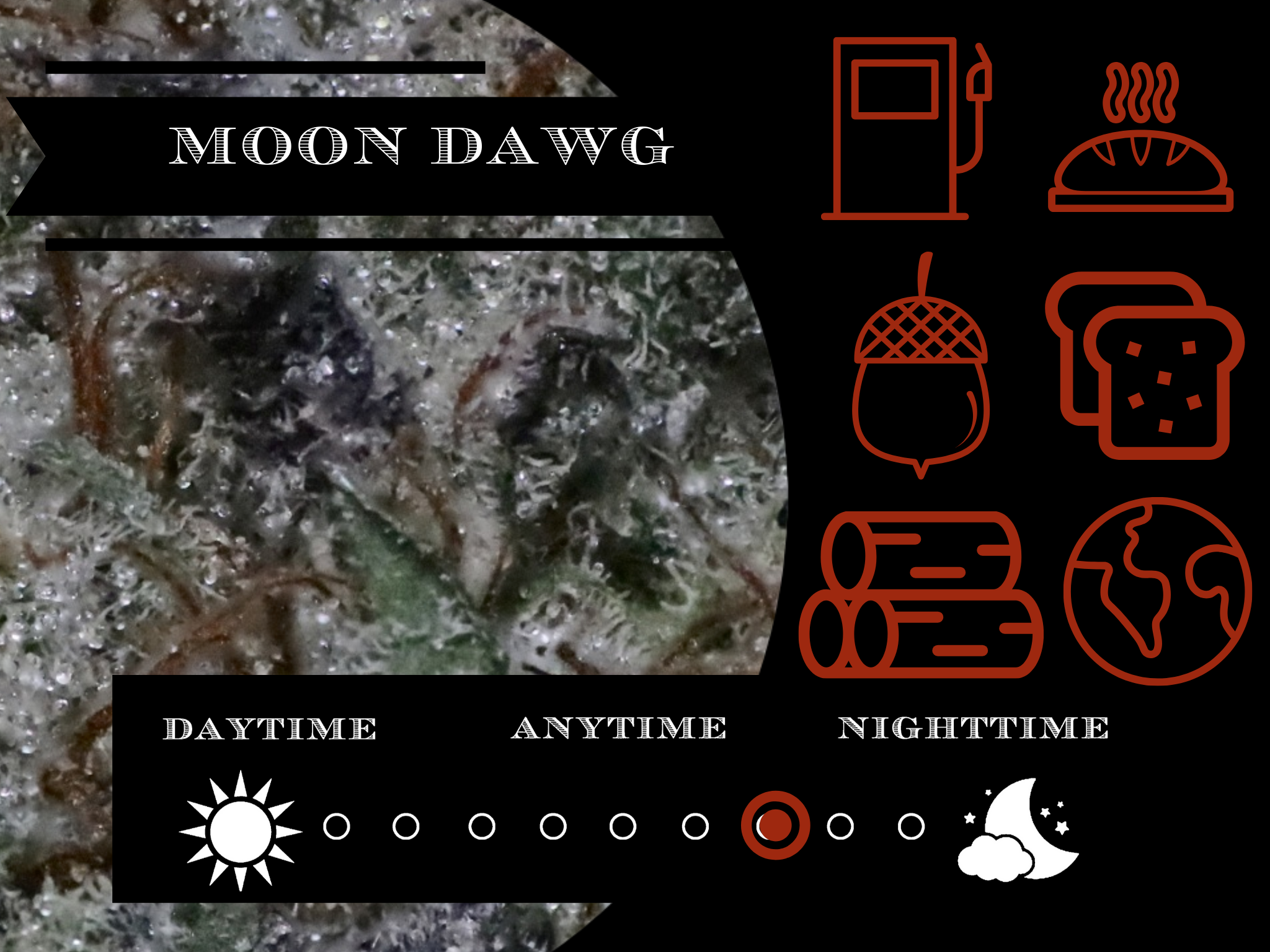 Moon Dawg 26.8% view 2