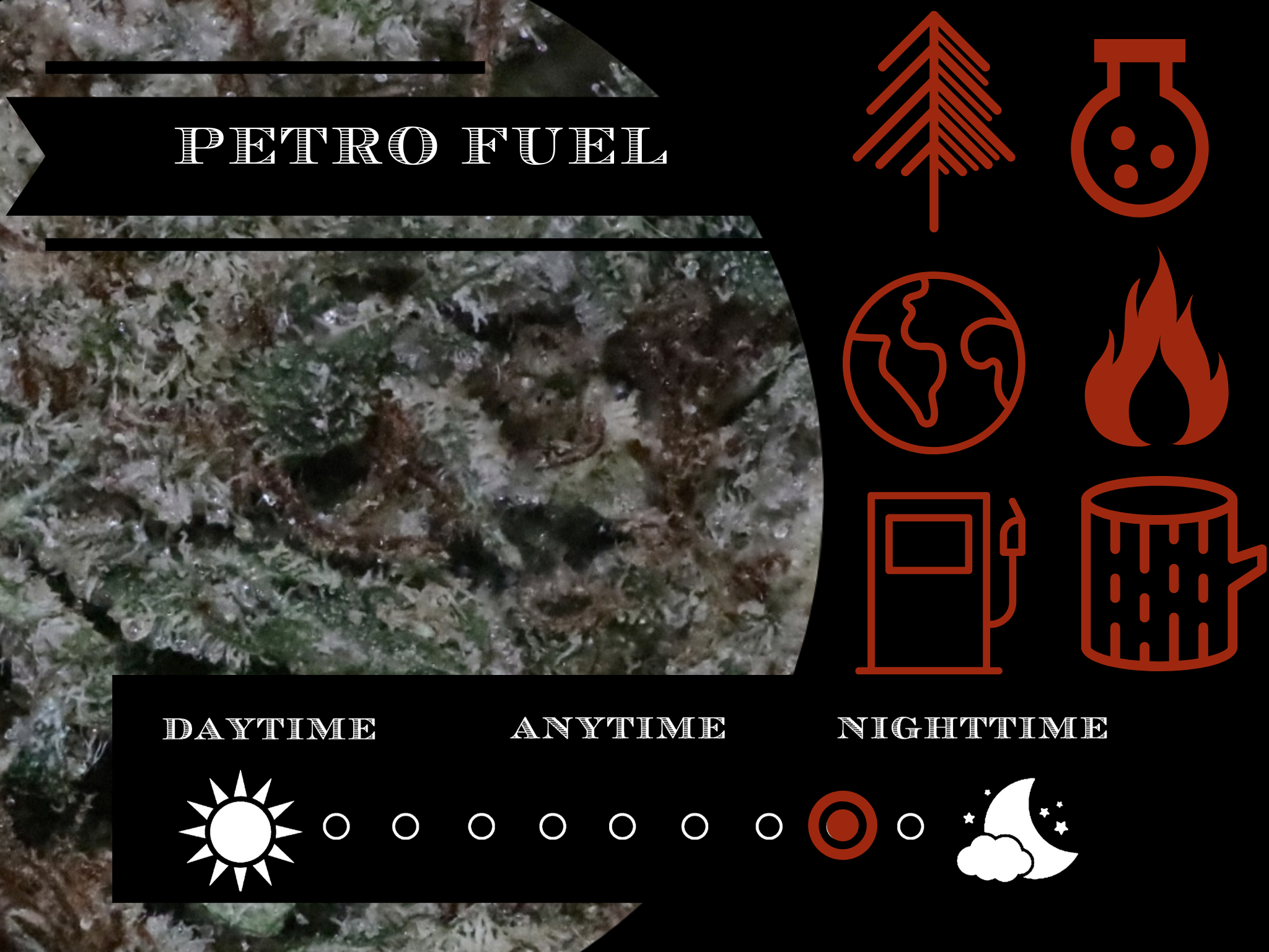 Petro Fuel 27.2% view 2