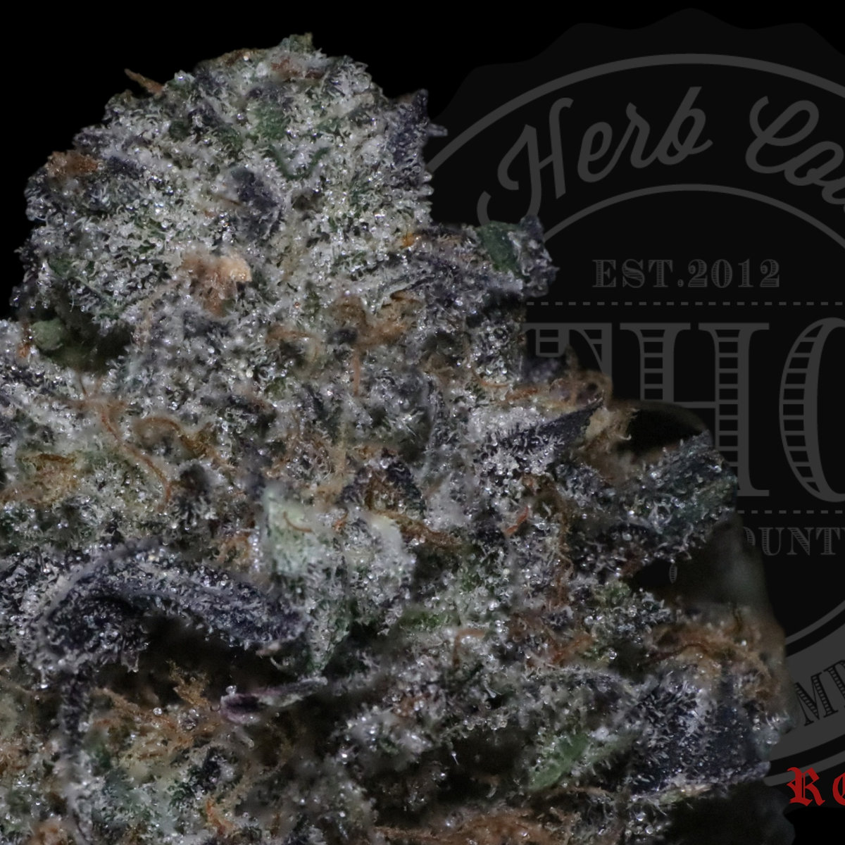 Gelato Mints 27.2%