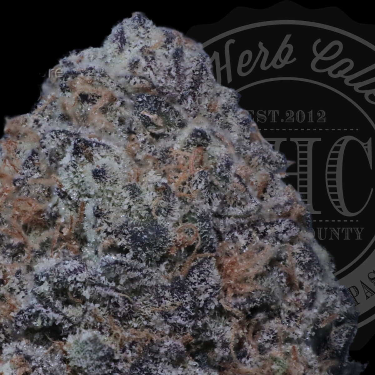 Dark Rainbow 2.0 33.6%
