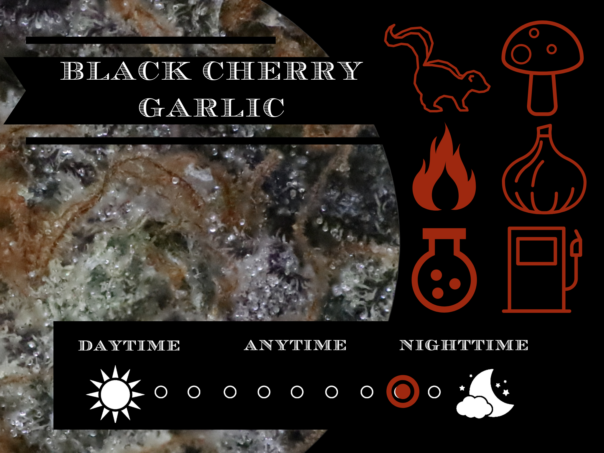 Black Cherry Garlic 27.6% view 2