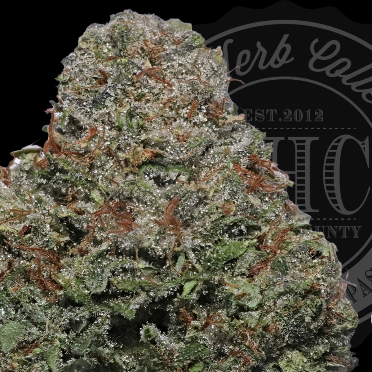Da Vinci OG 30.8%