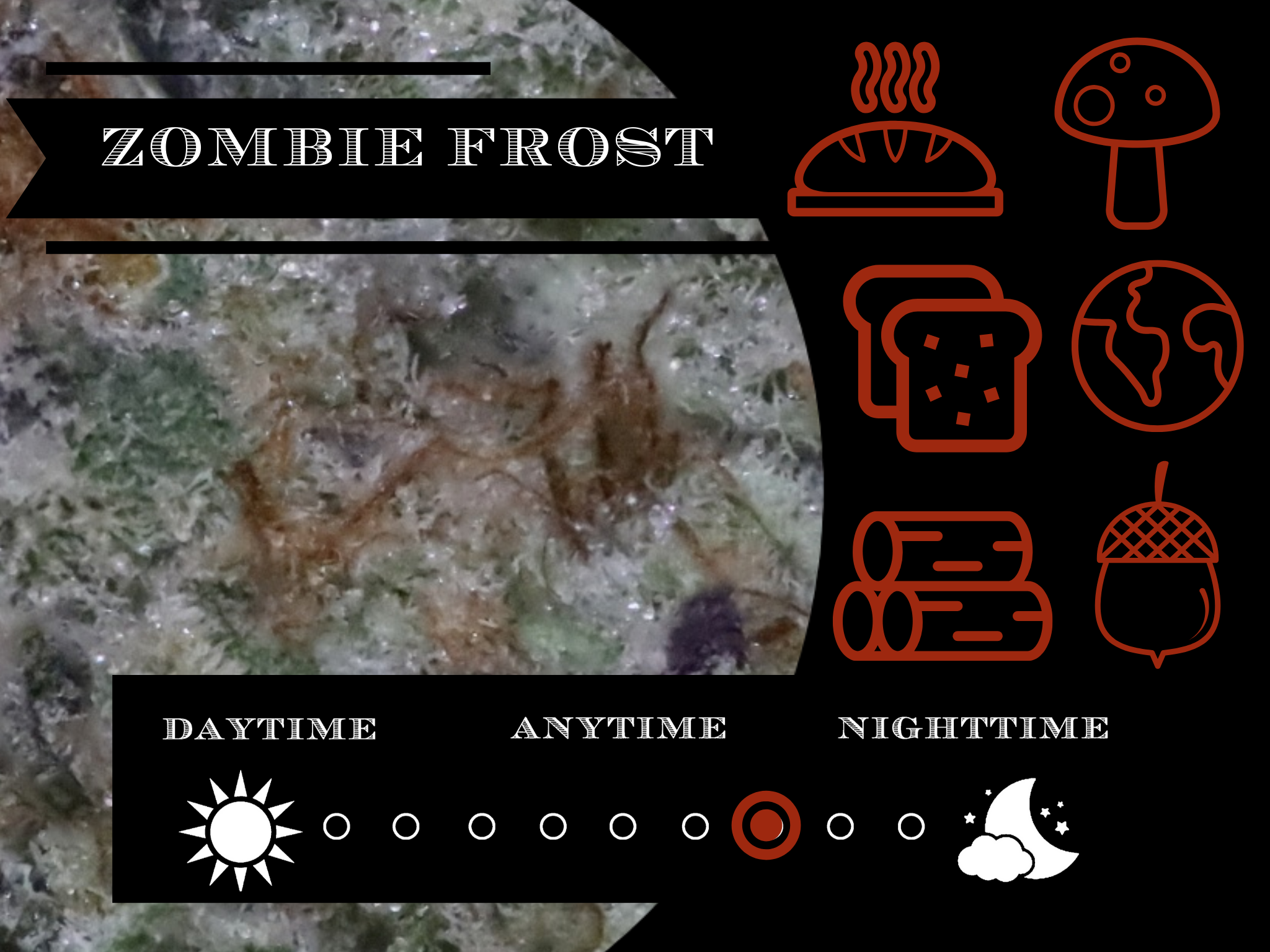 Zombie Frost 26.2% view 2