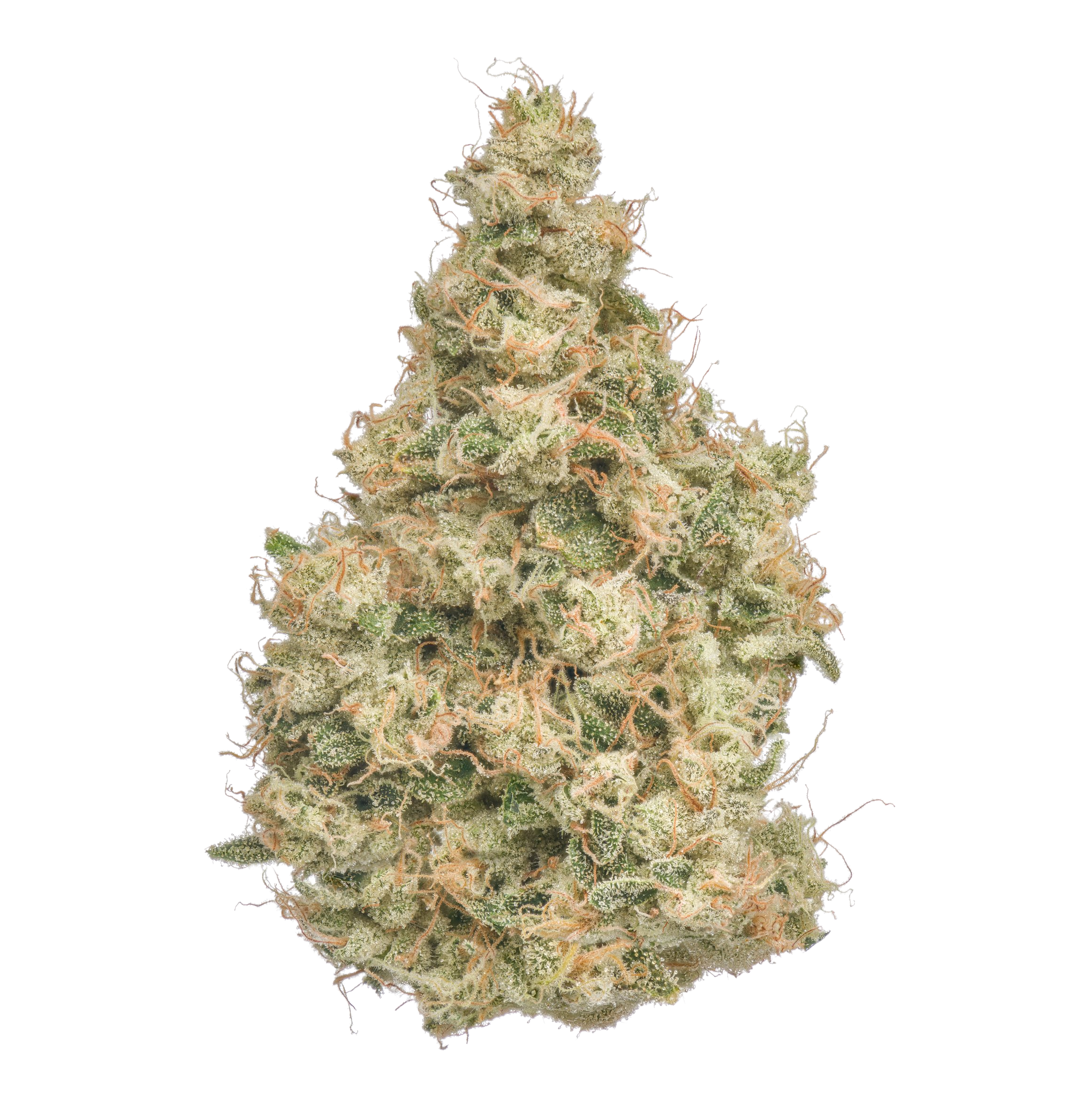 Opal Oasis 34% — 3.5 Gram