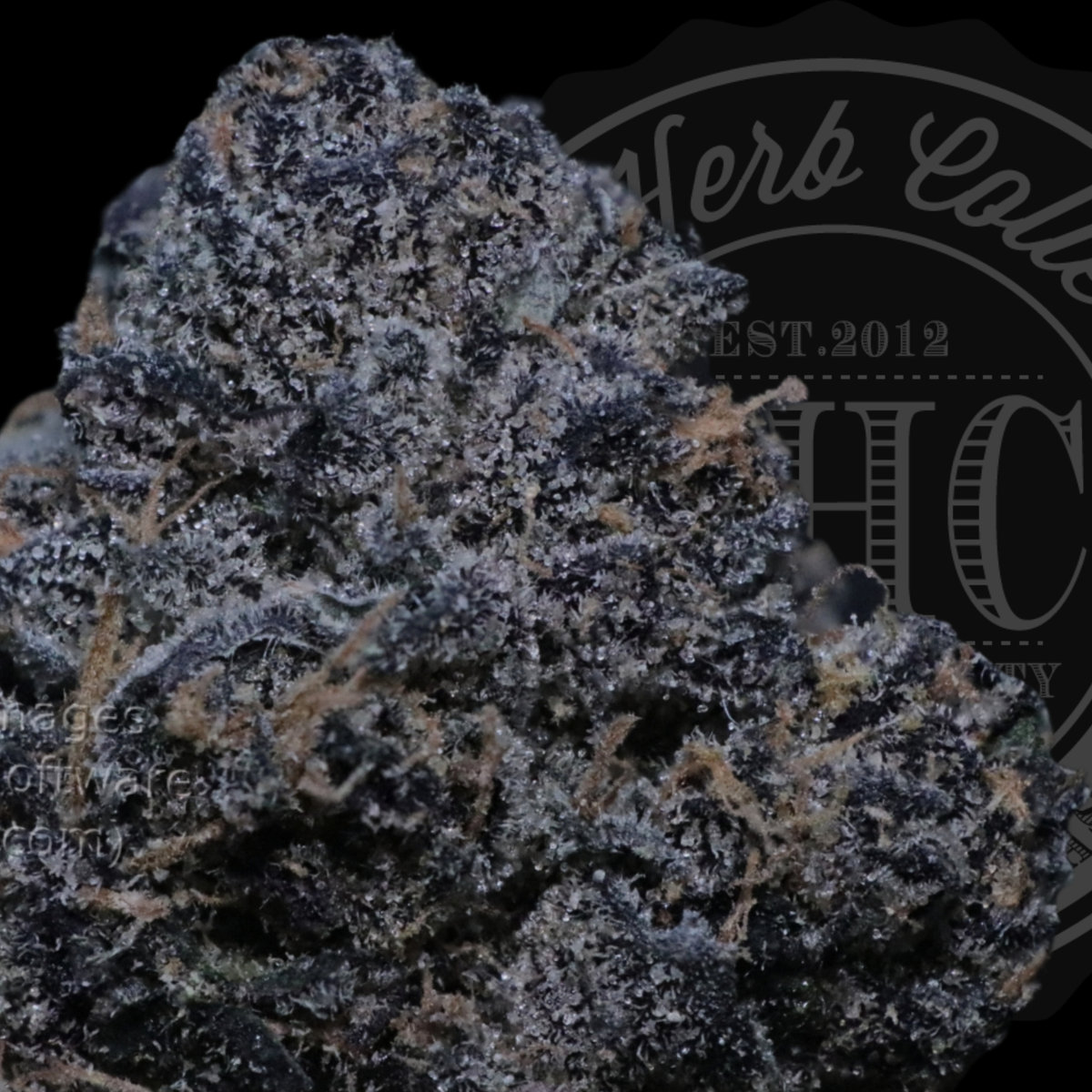 Truffle Runtz 33.2%