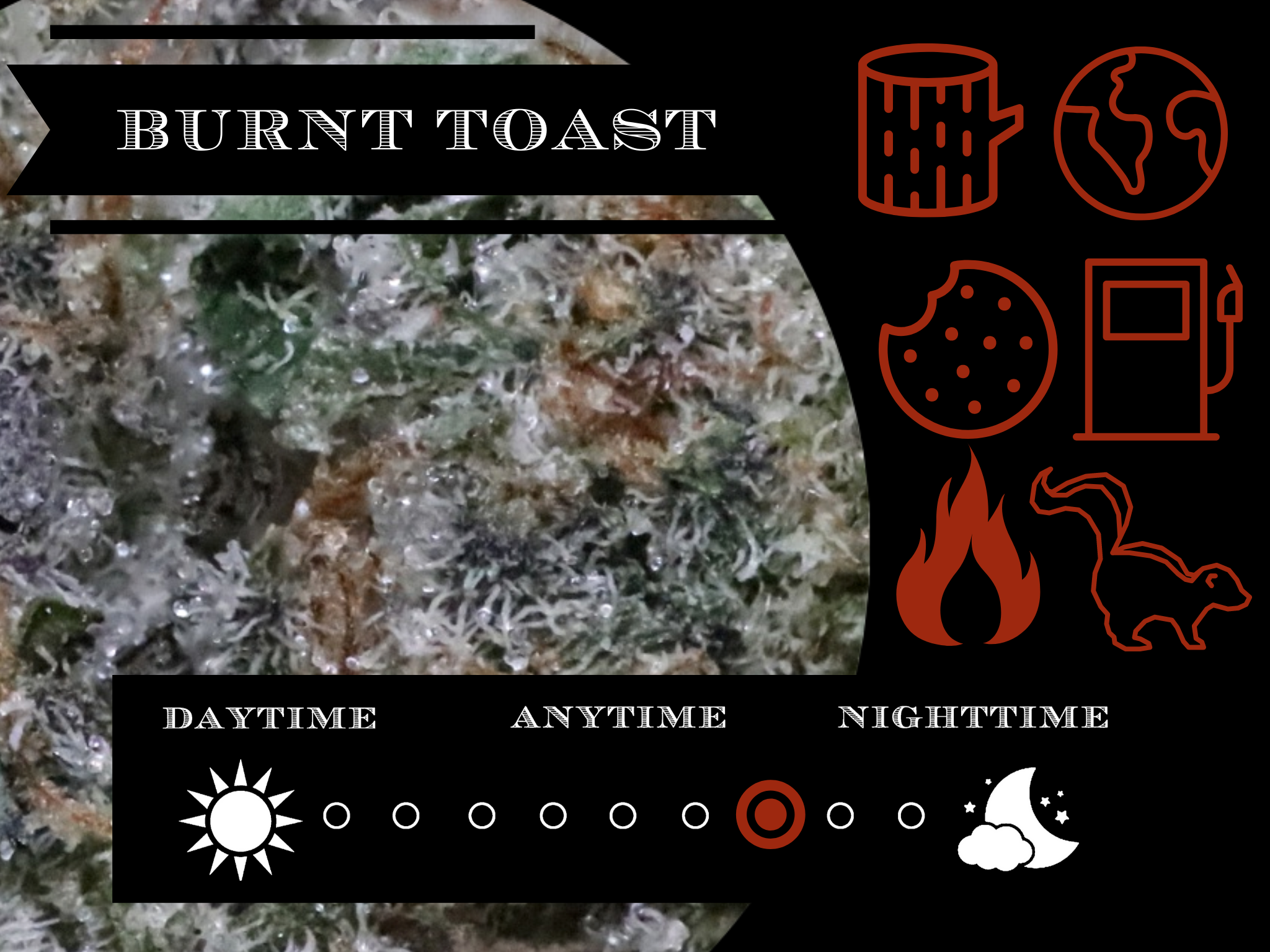 Burnt Toast 26.6% view 2