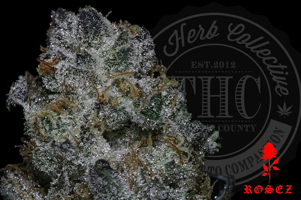 G.M.O CAKE 31.3% | RESERVE | ROSEZ CO.