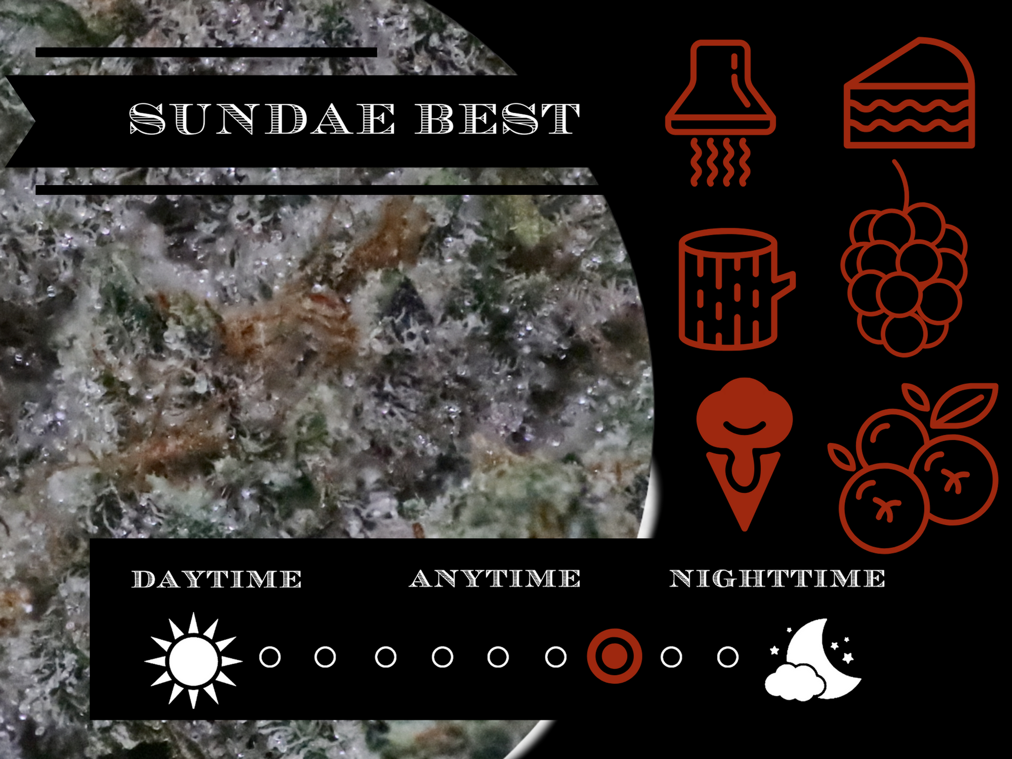 Sundae's Best 27.2% view 2