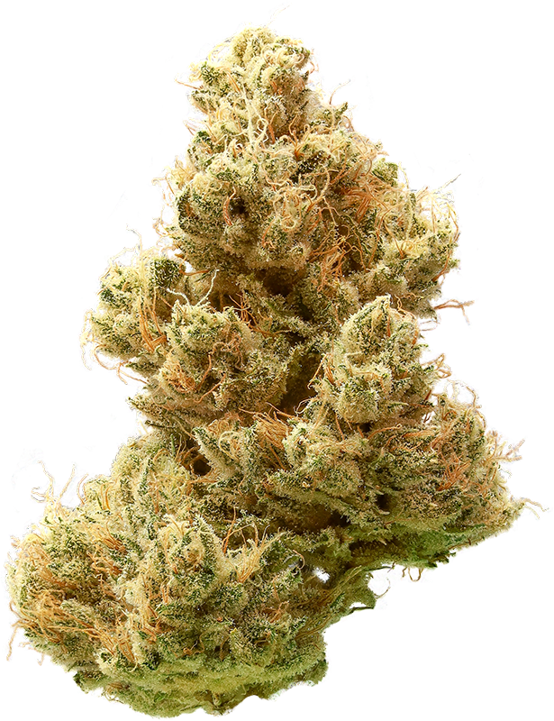Banana OG 28.8% — 3.5 Grams view 2