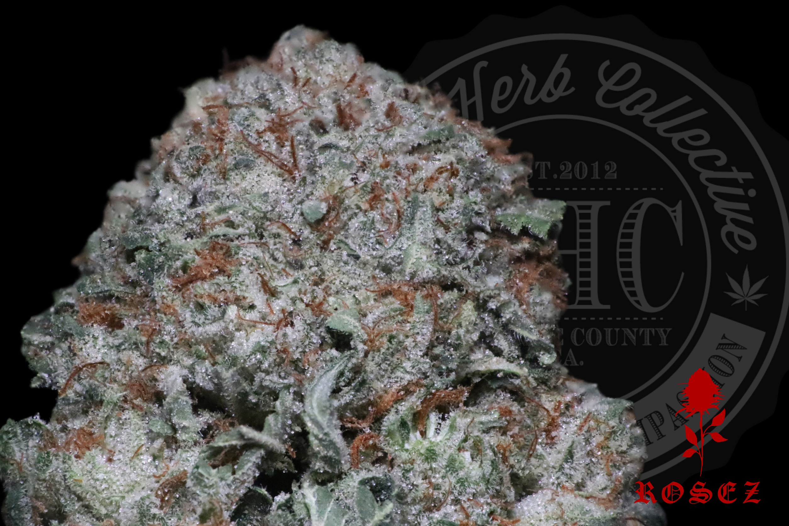 Sherbert Haze 26.2%