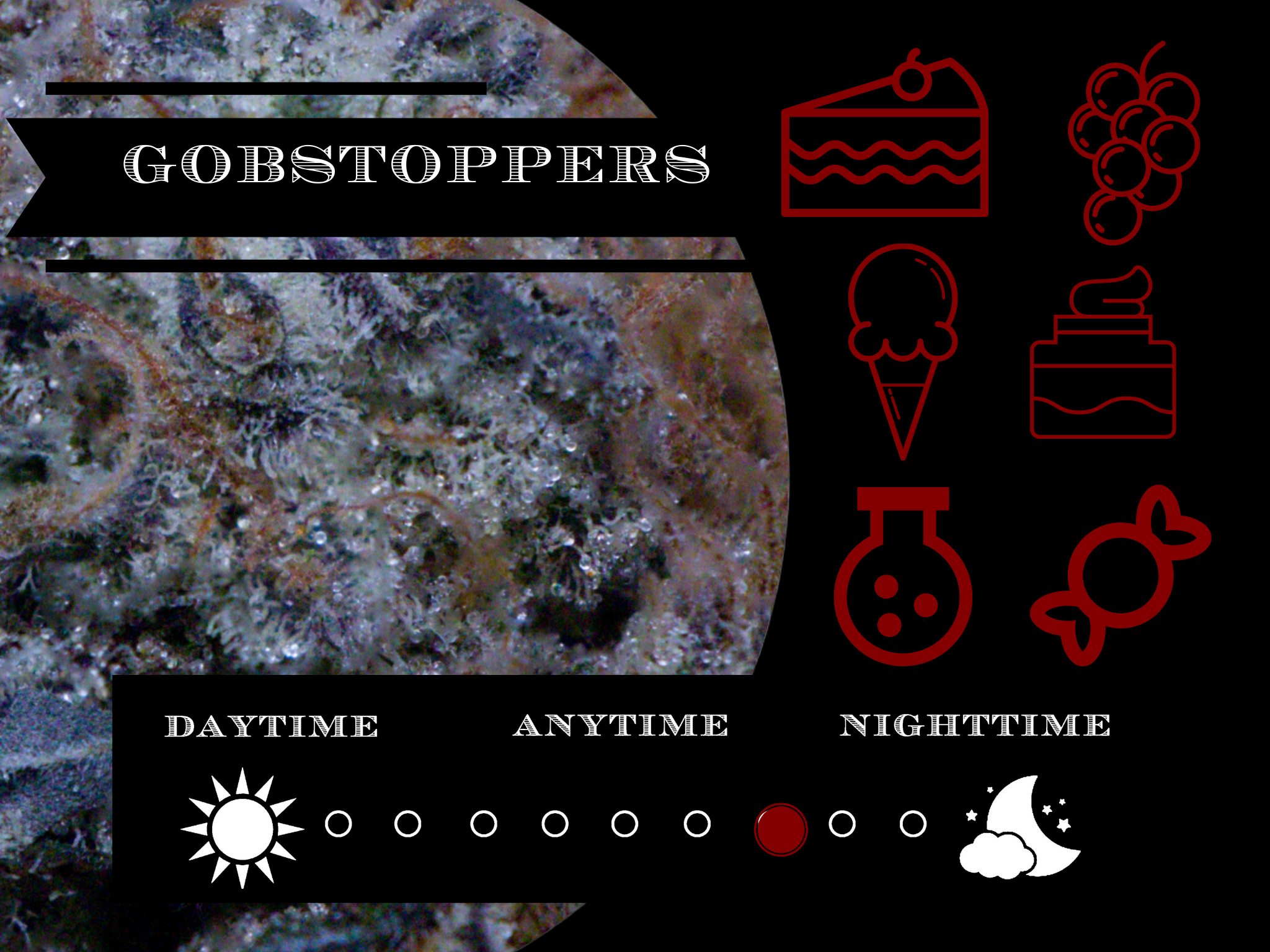 Gobstoppers 28.2% view 2