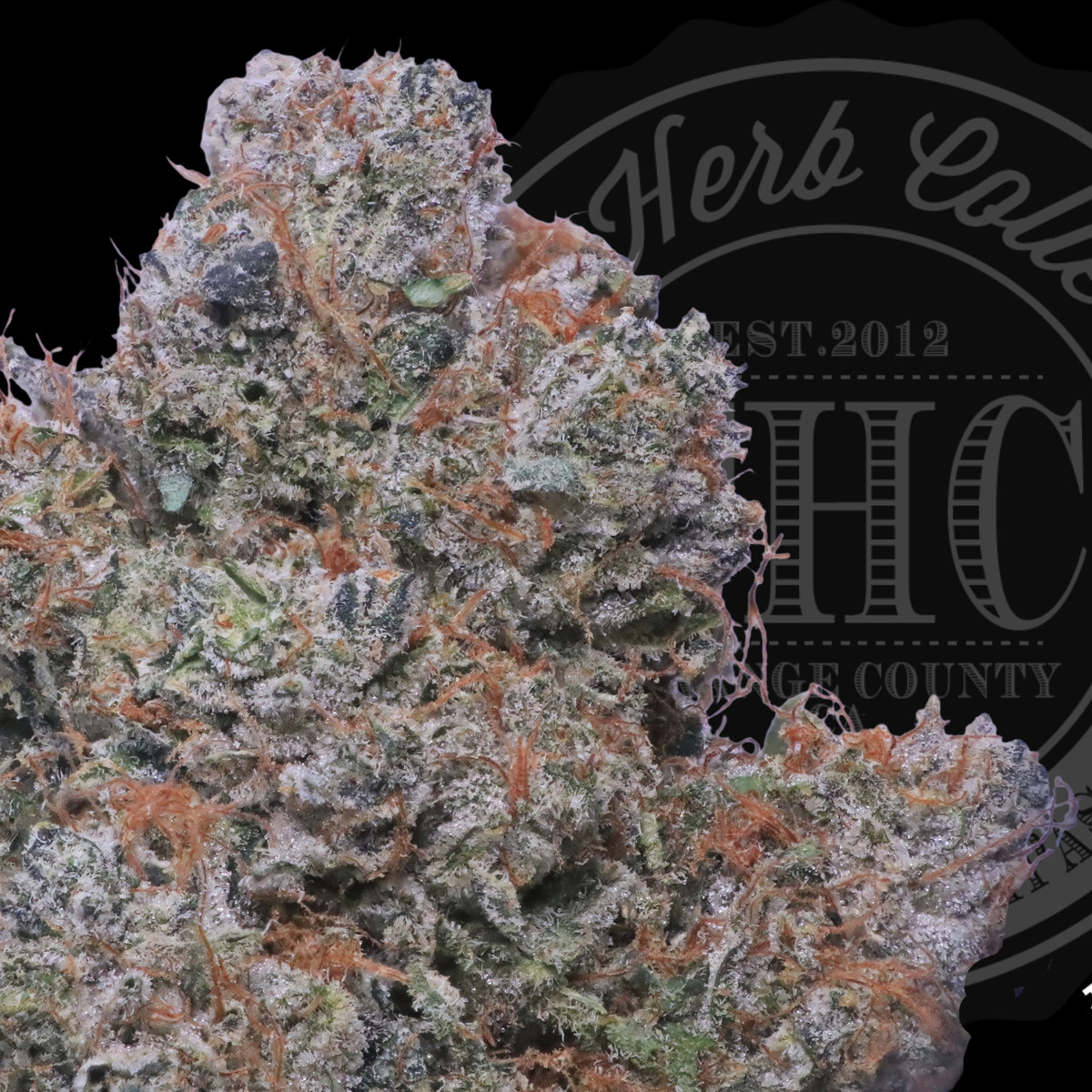 Moonshine Ghost Train 33.2%