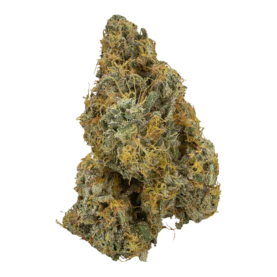 Hazel Nut Piff #8 33.09% — 3.5 Grams