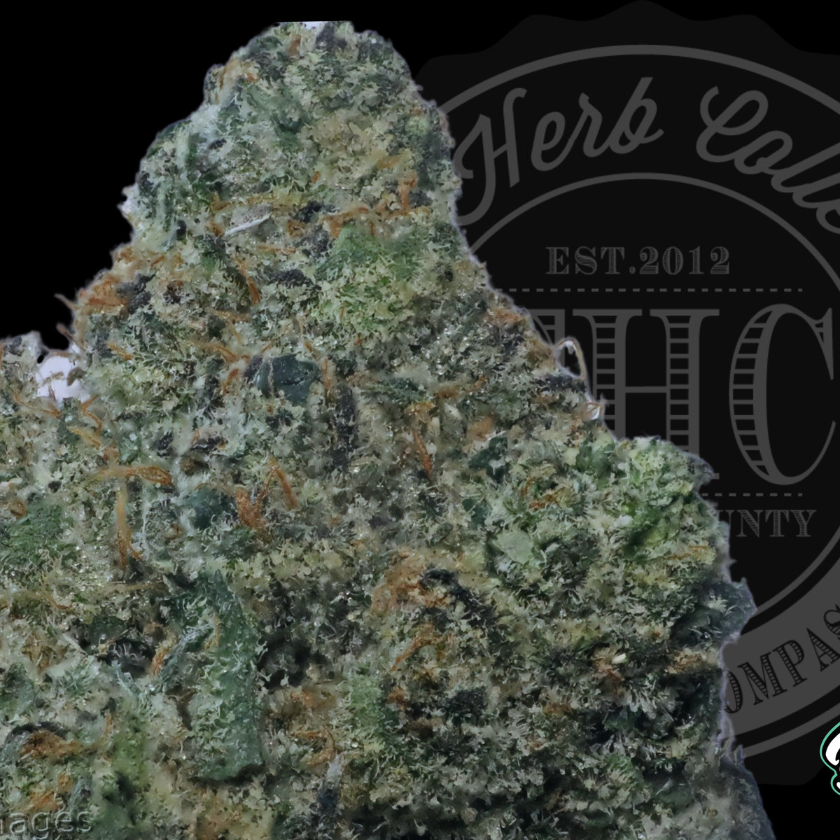 Blue Shamu 32.0%