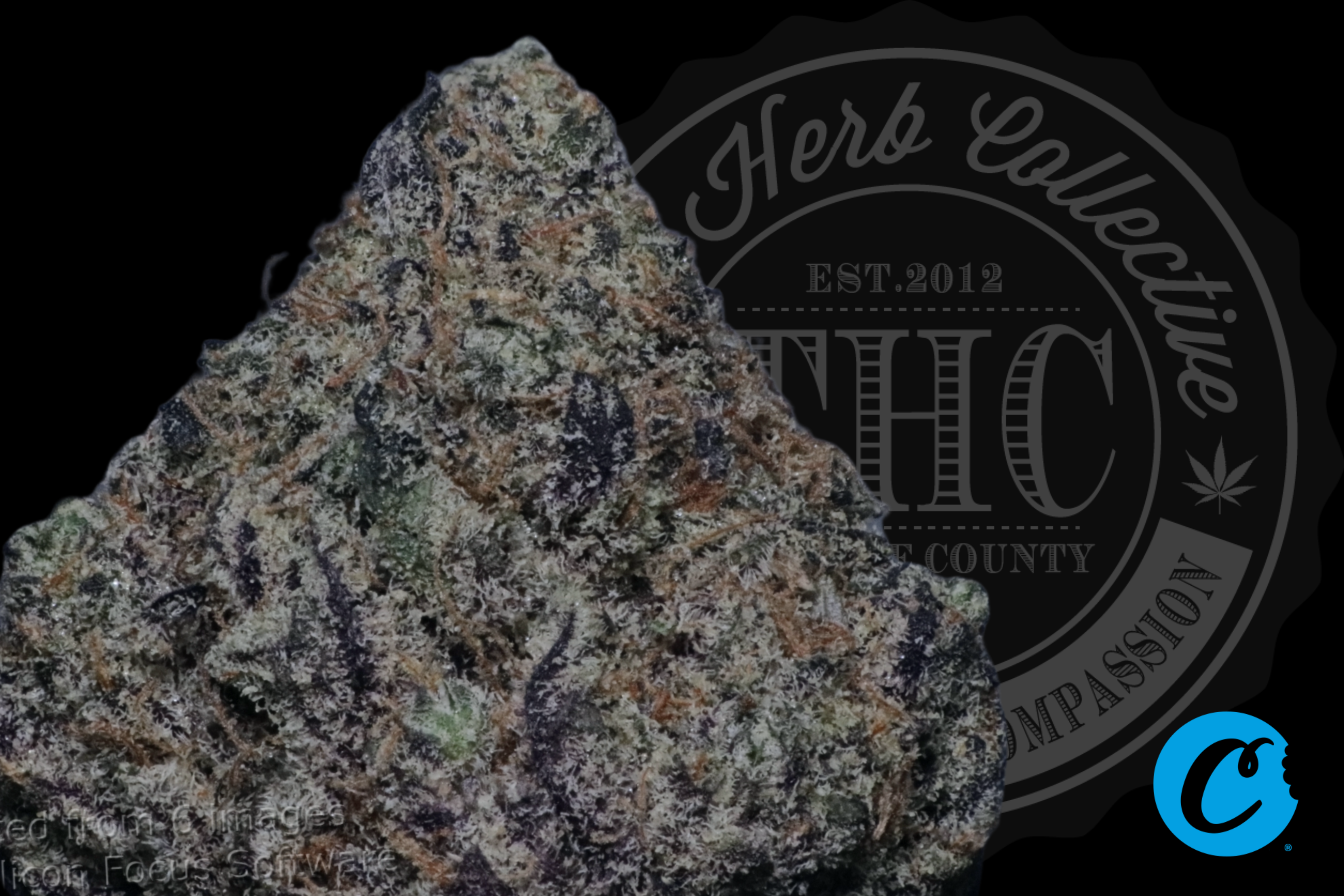 Pink Rosay #10 32.1%