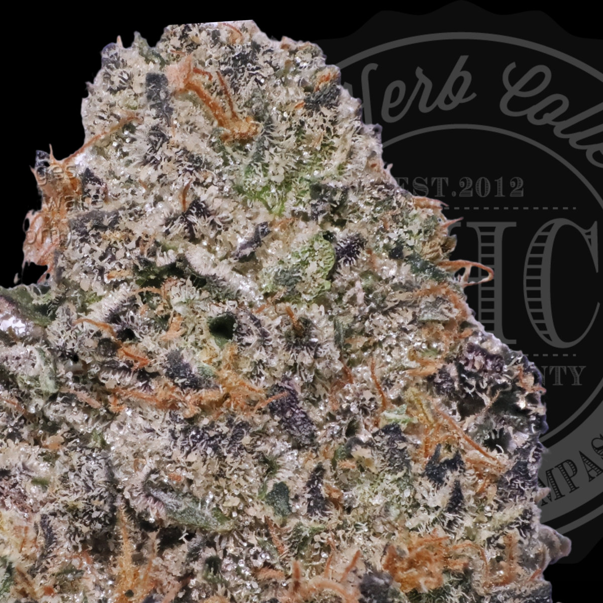 Watermelon Cakes 36.4%