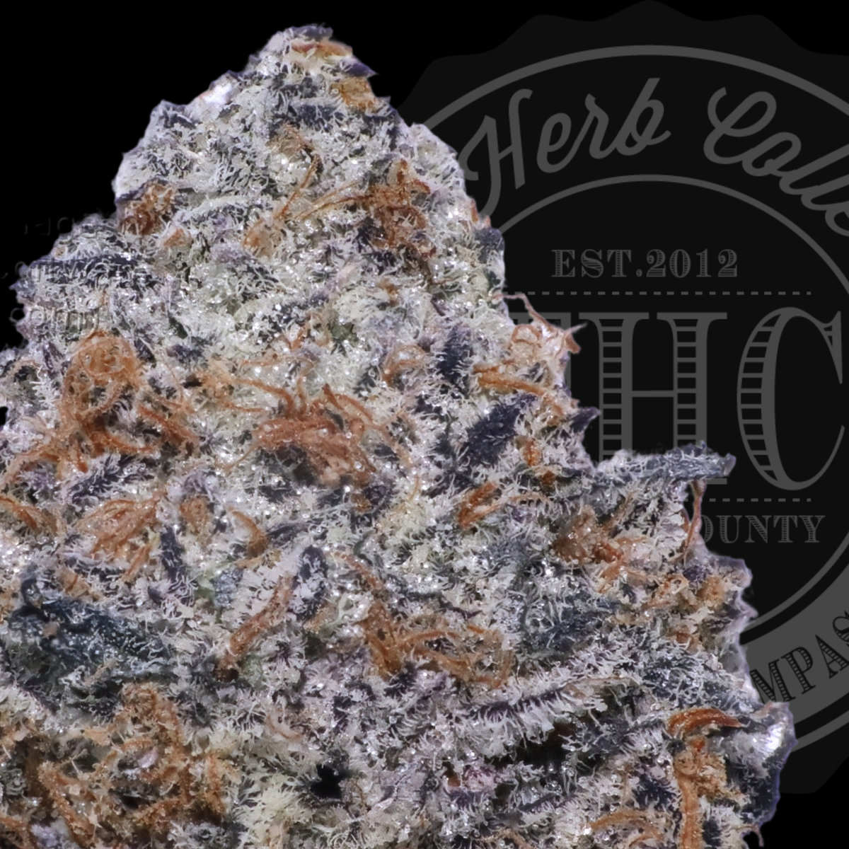 Peppermintz 34.8%