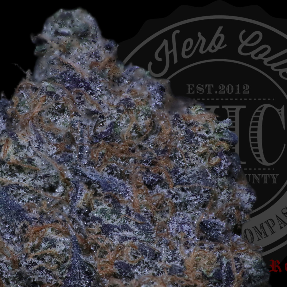 Golden Gatez 27.8%
