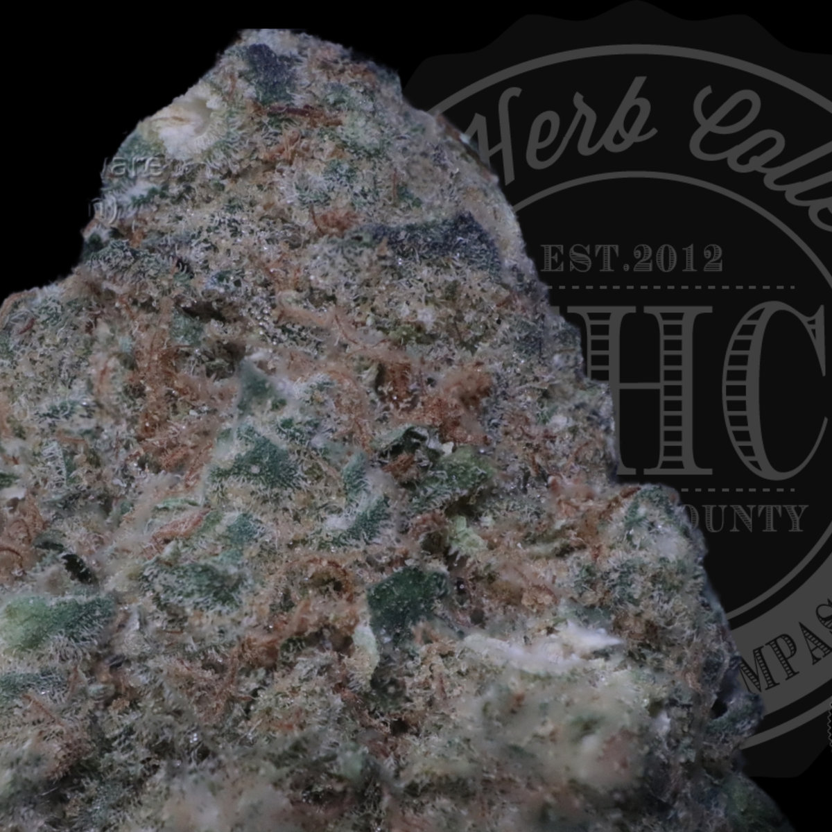 Mid-Shelf Indoor — Gas Co.