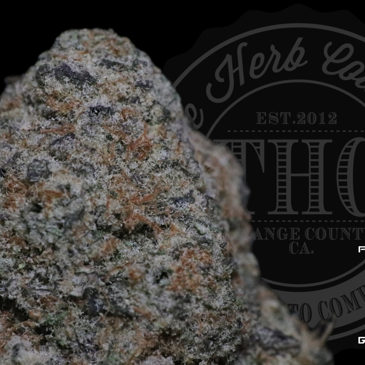 Mid-Shelf — Platinum Genetics