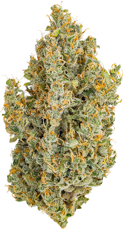 Durban Poison 27.56% — 3.5 Grams view 2