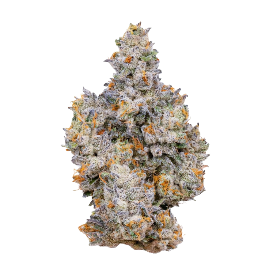 G1000 #11 23.7% — 3.5 Grams
