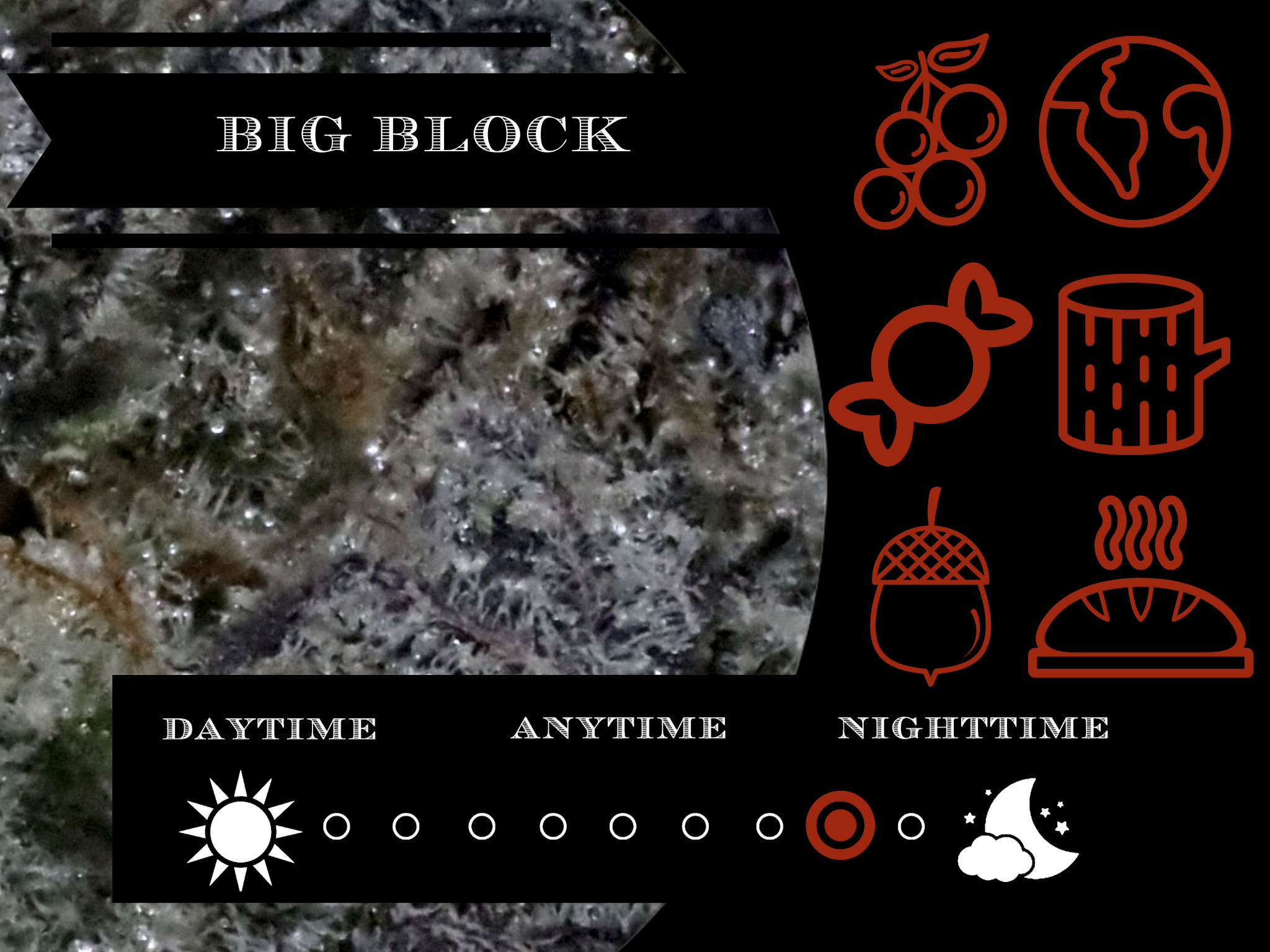 Big Block 27.4% view 2